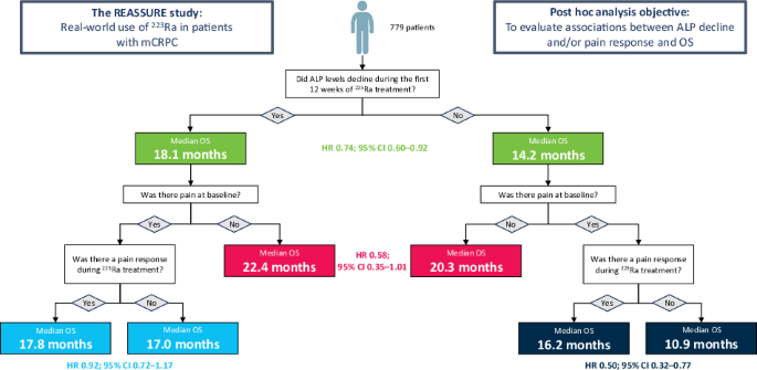 Alkaline phosphatase decline and pain response as predictors of overall survival benefit in patients treated with radium-223: a post hoc analysis of the REASSURE study