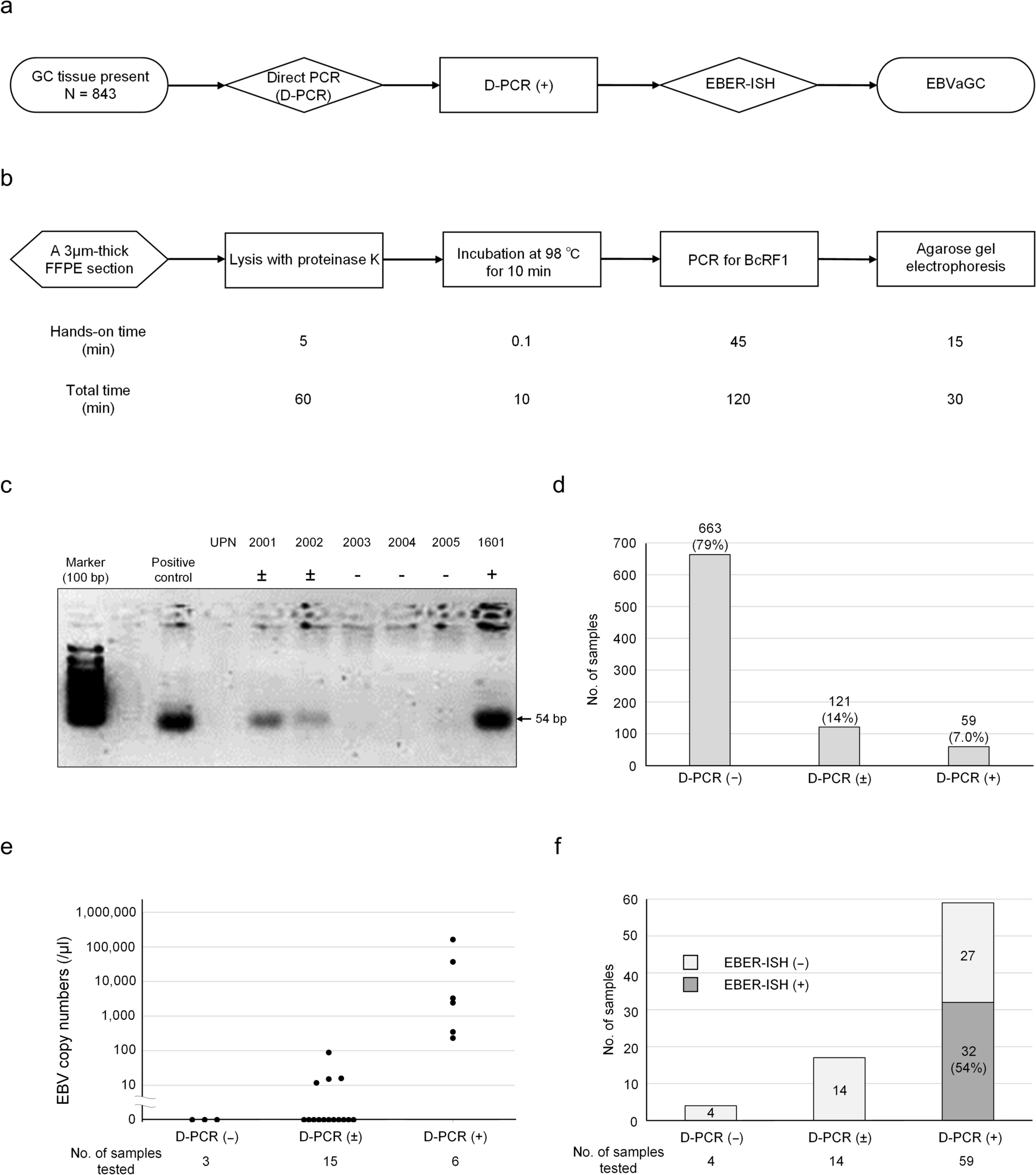 The landscape of 142 Epstein–Barr viral whole genomes in gastric cancer