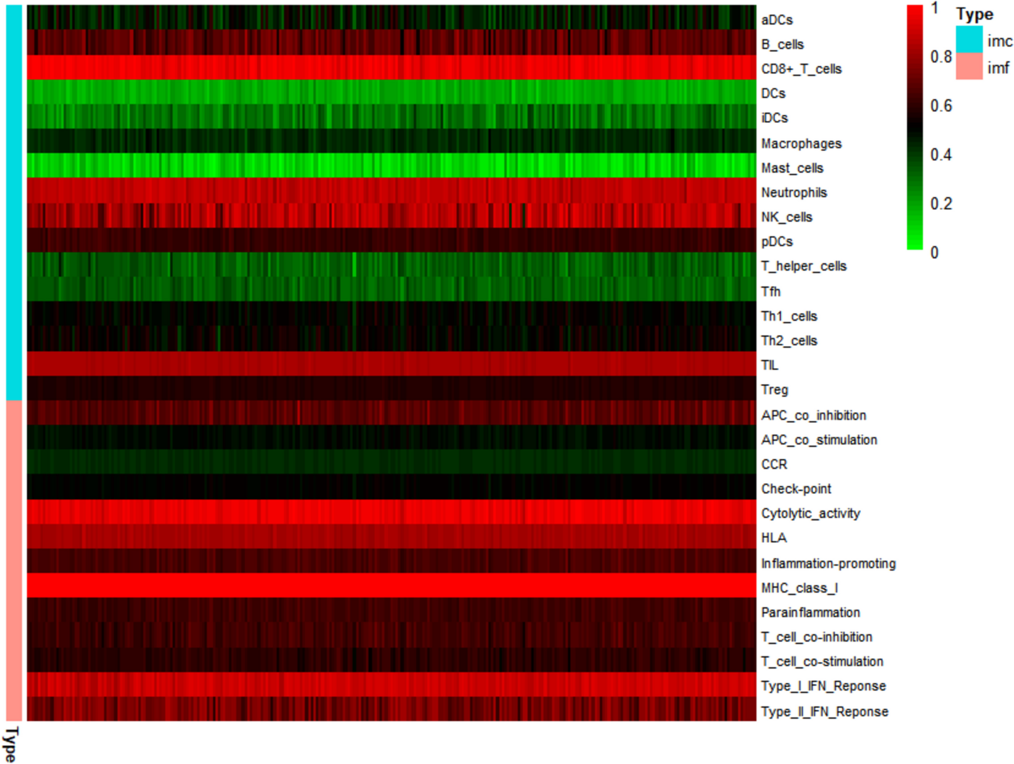 Exploring the impact of cuproptosis-related genes on immune infiltration in rheumatoid arthritis