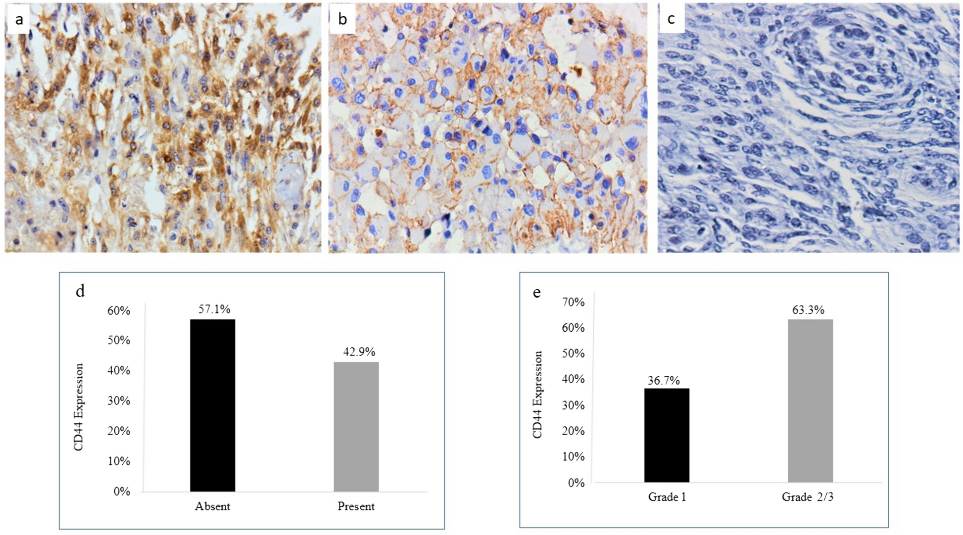 Protein expression of CD44 in patients with meningioma tumors: association with clinicopathological parameters and survival