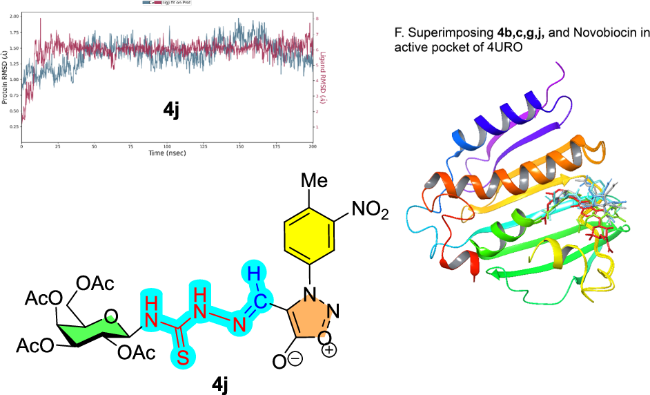 Synthesis, bacteria activity and molecular simulation of D-galactose-conjugated thiosemicarbazones of 3-aryl-4-formylsydnones