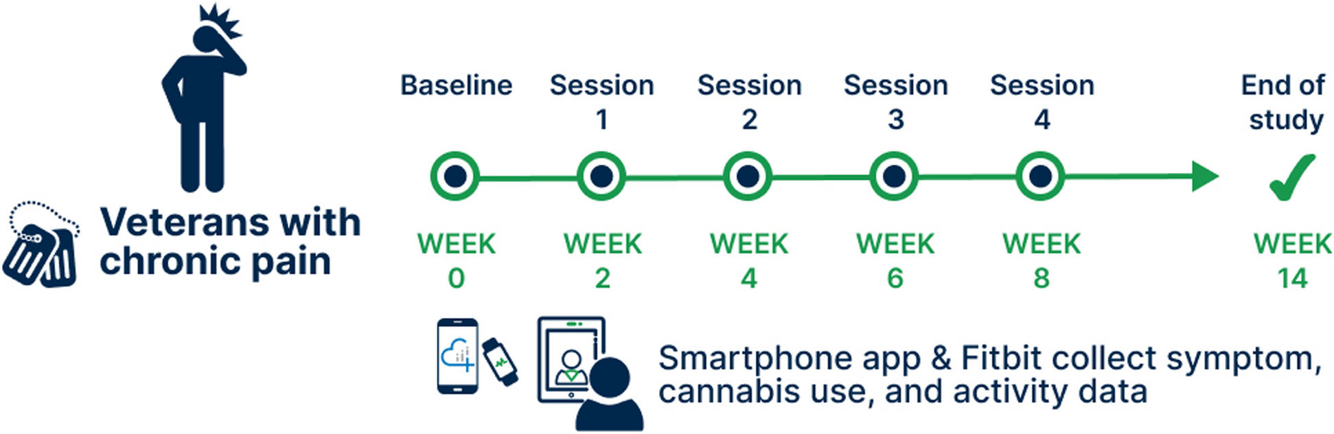 Feasibility pilot of a novel coaching intervention to optimize cannabis use for chronic pain management among Veterans