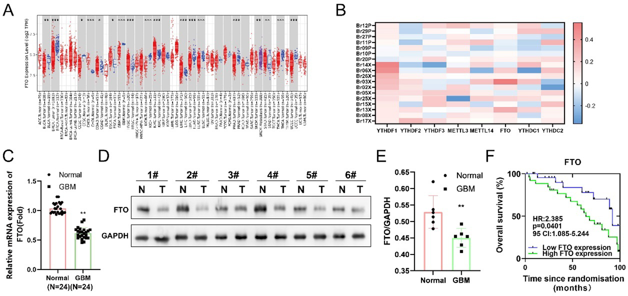 FTO Suppresses Proliferation and Induces Apoptosis of T98G Glioblastoma Cells via N6-methyladenosine Modification of GSTO1