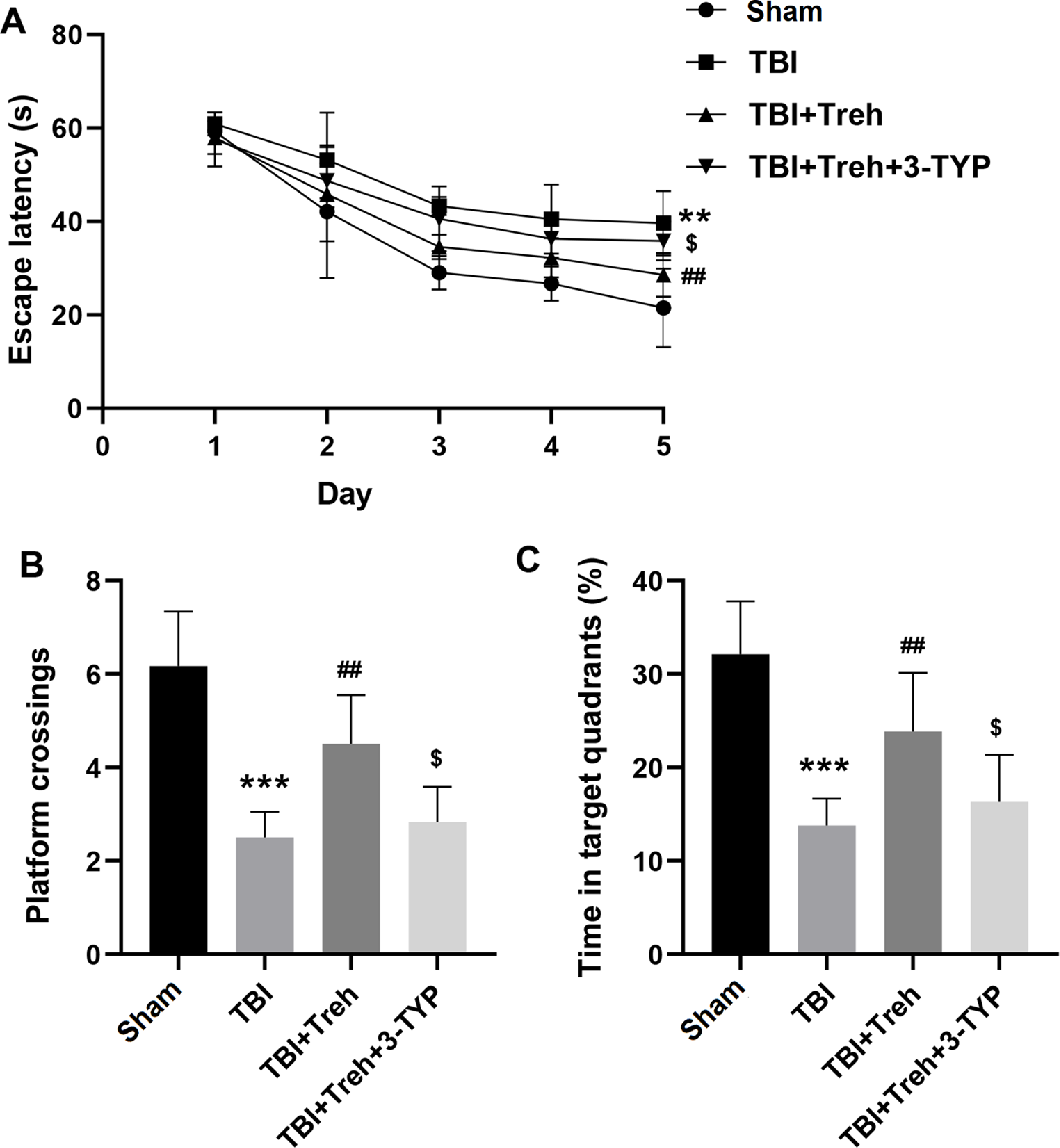 Trehalose Inhibits ferroptosis Through Activating SIRT3/SOD2 Signaling Axis and Alleviates Brain Injury After Traumatic Brain Injury