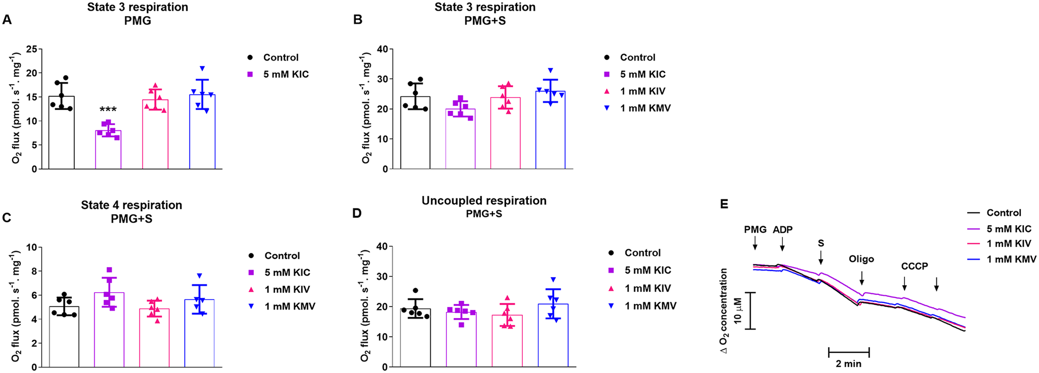 α-Ketoisocaproic Acid Disrupts Mitochondrial Bioenergetics in the Brain of Neonate Rats: Molecular Modeling Studies of α-ketoglutarate Dehydrogenase Subunits Inhibition