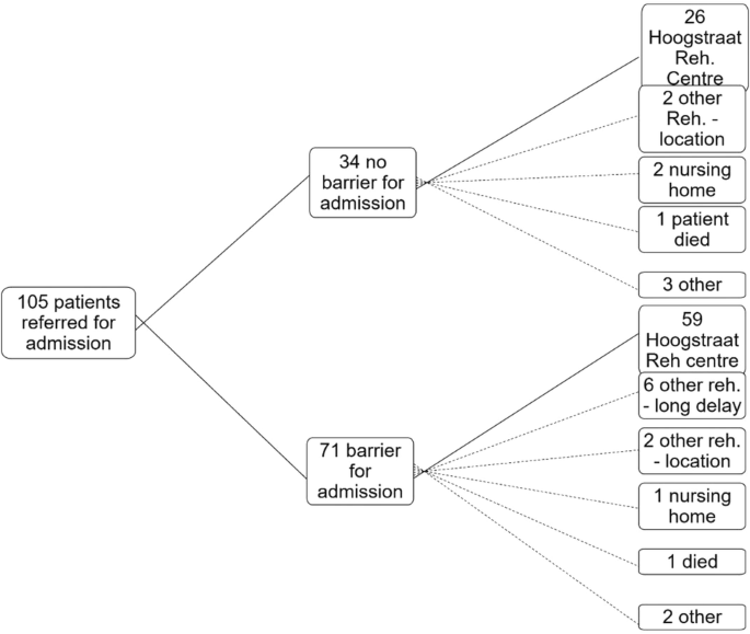 Patient flow problems affecting in-patient spinal cord injury rehabilitation in the Netherlands