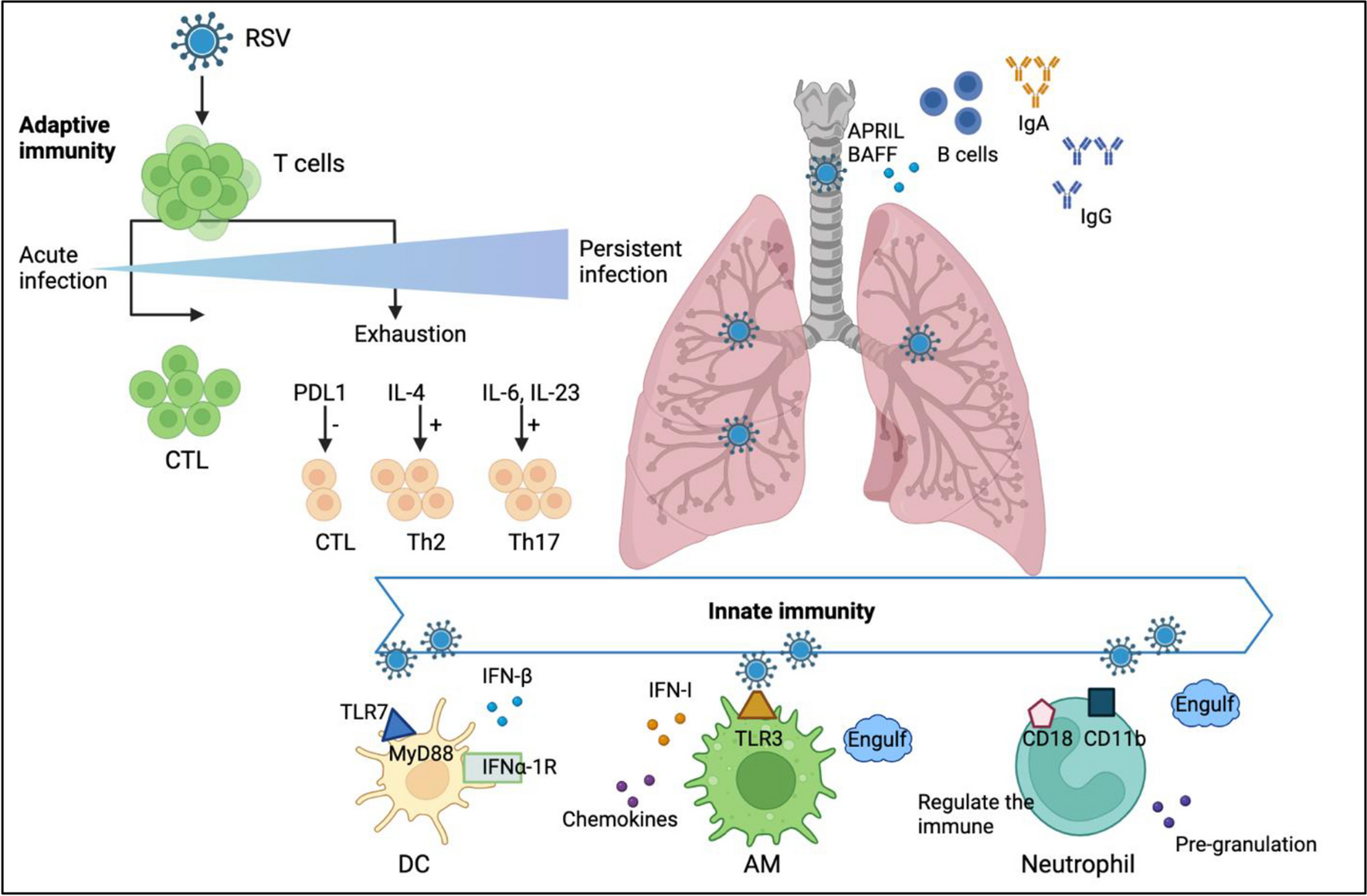 Multiomics as instrument to promote 3P medical approaches for the overall management of respiratory syncytial viral infections