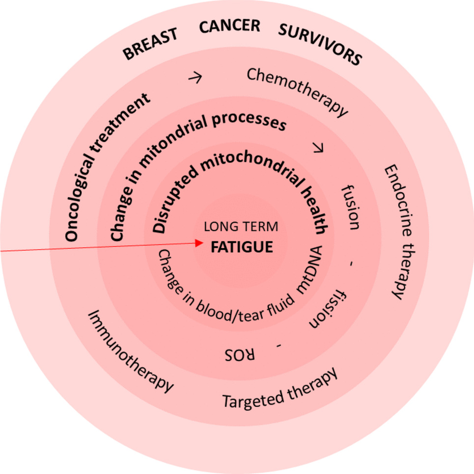 Mitochondria-based holistic 3PM approach as the ‘game-changer’ for individualised rehabilitation—the proof-of-principle model by treated breast cancer survivors