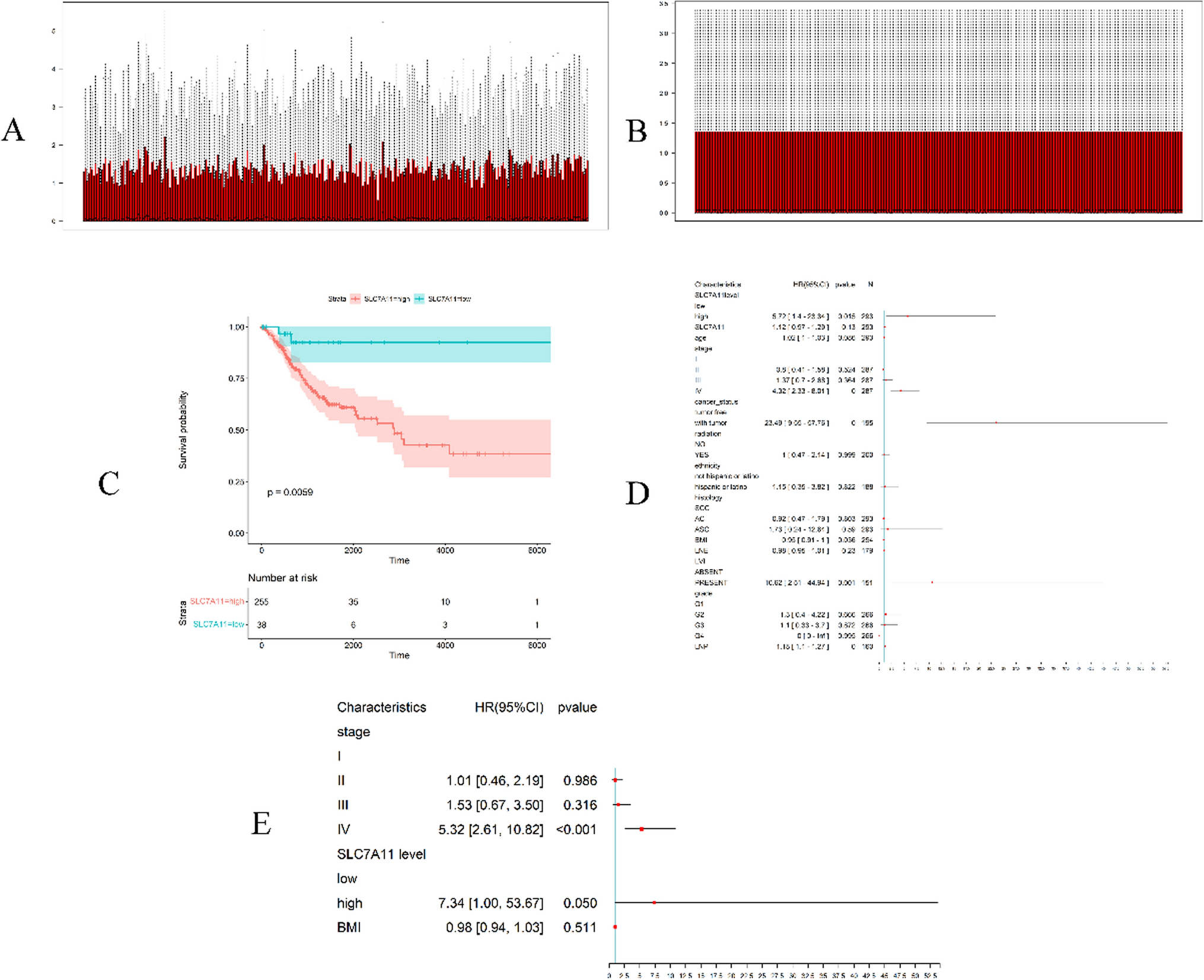 SLC7A11 is a potential therapeutic target and prognostic biomarker correlated with immune cell infiltration in cervical cancer