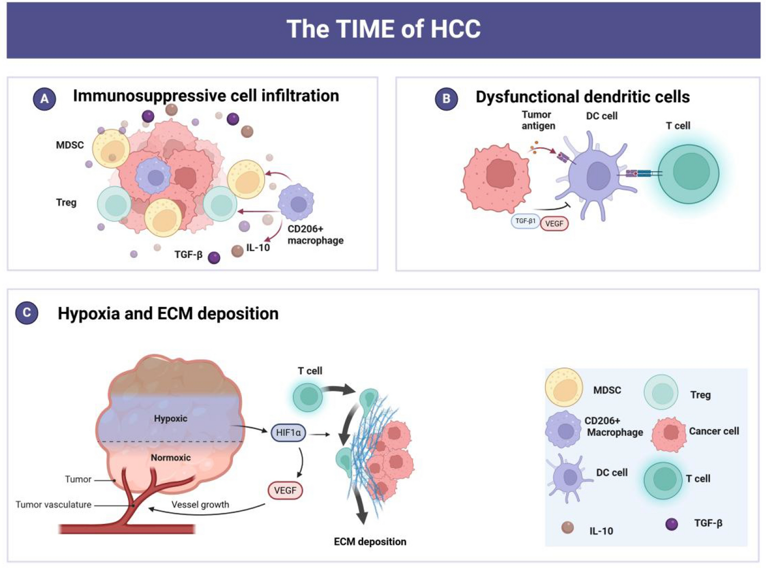Harnessing nanoparticles for reshaping tumor immune microenvironment of hepatocellular carcinoma