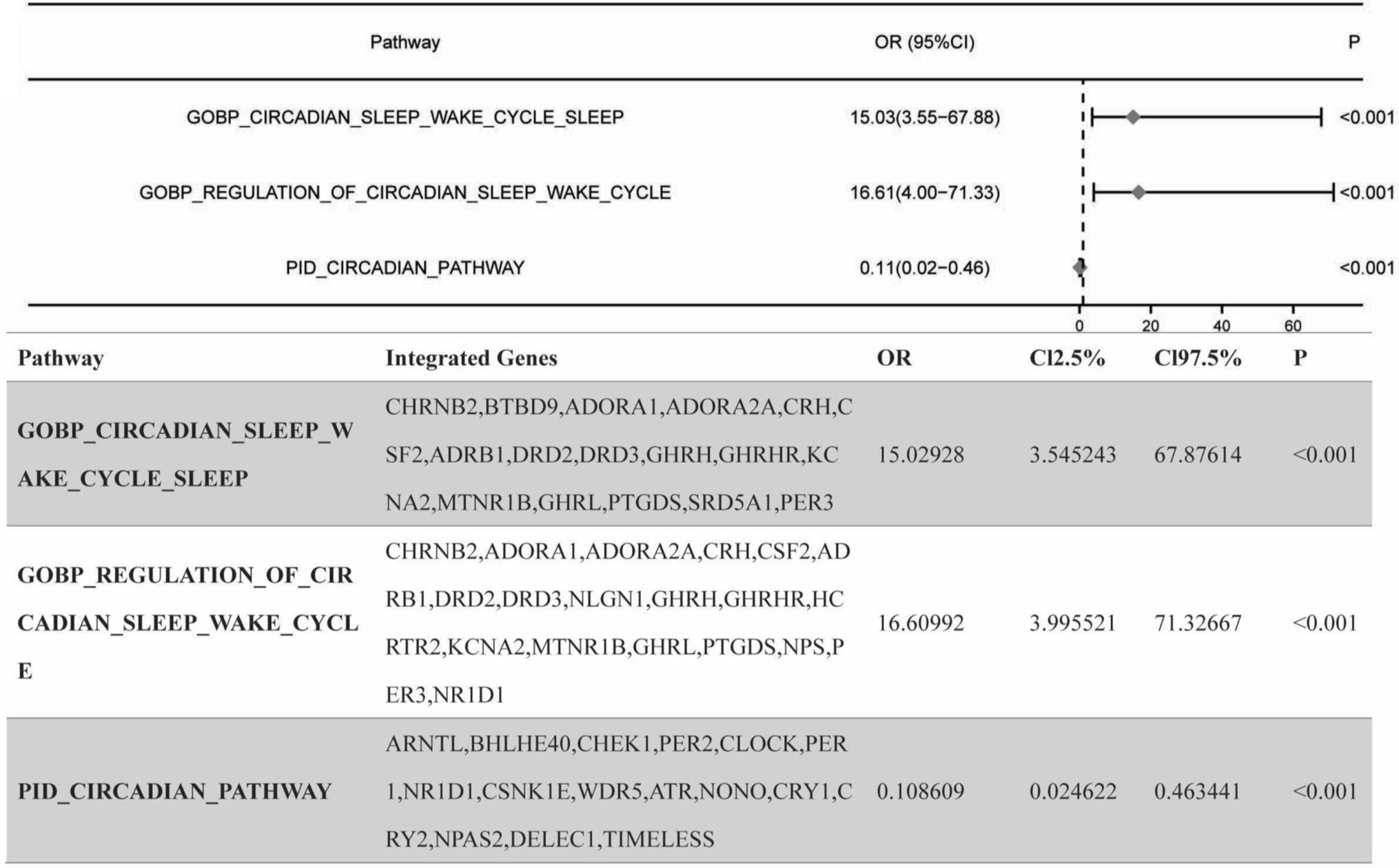 Circadian rhythm related genes signature in glioma for drug resistance prediction: a comprehensive analysis integrating transcriptomics and machine learning