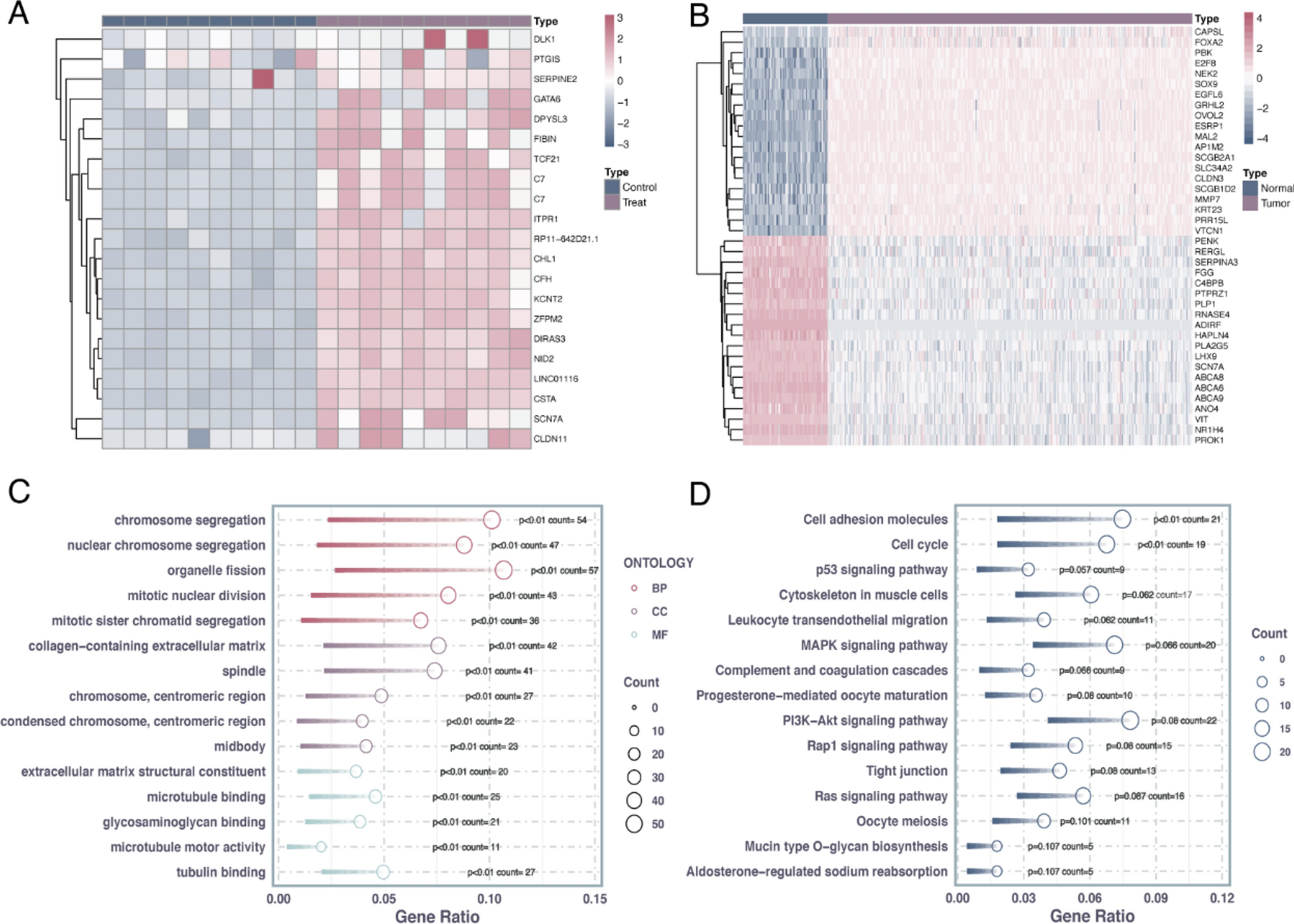 Integrative prognostic modeling of ovarian cancer: incorporating genetic, clinical, and immunological markers