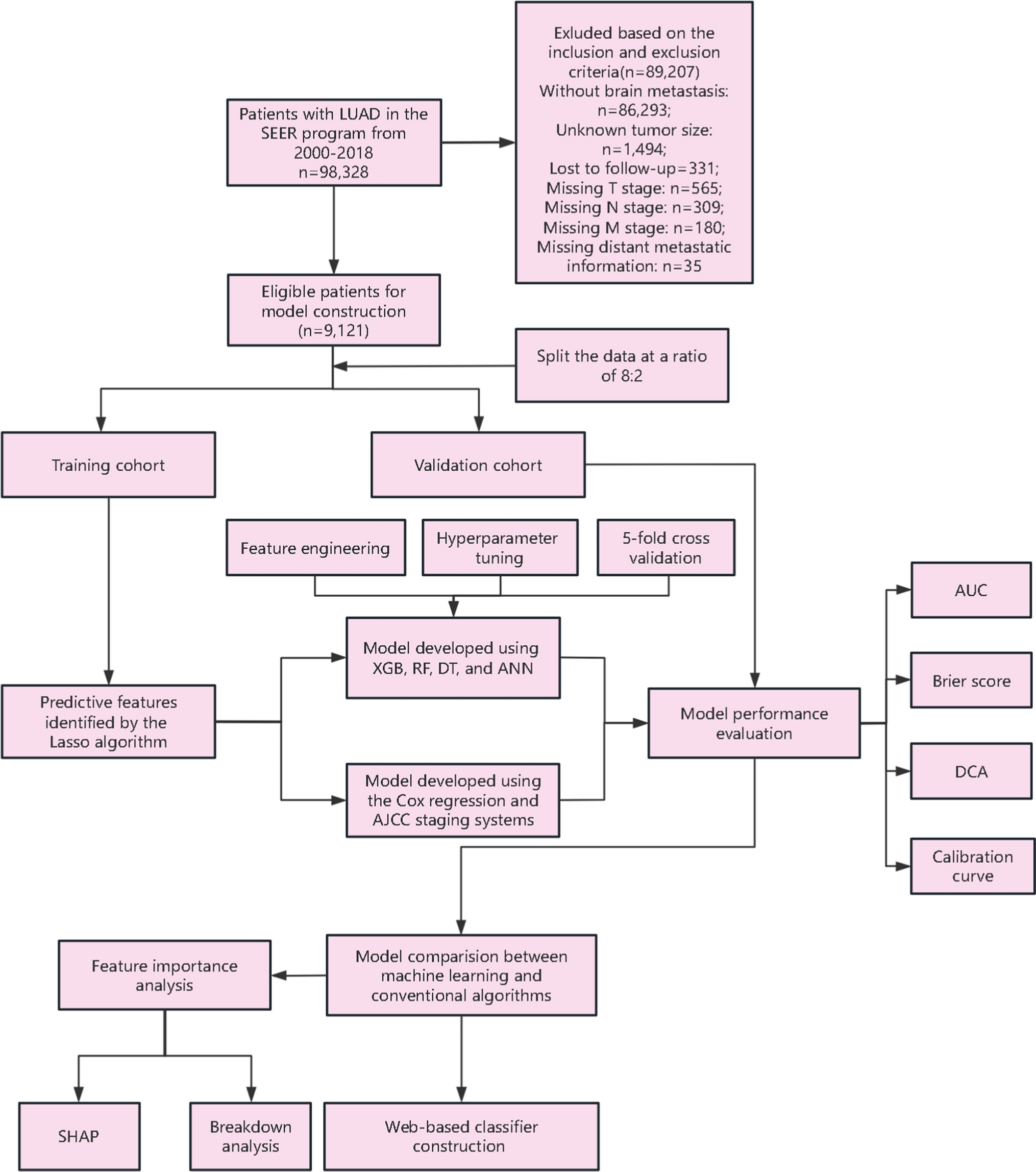 Evolving prognostic paradigms in lung adenocarcinoma with brain metastases: a web-based predictive model enhanced by machine learning