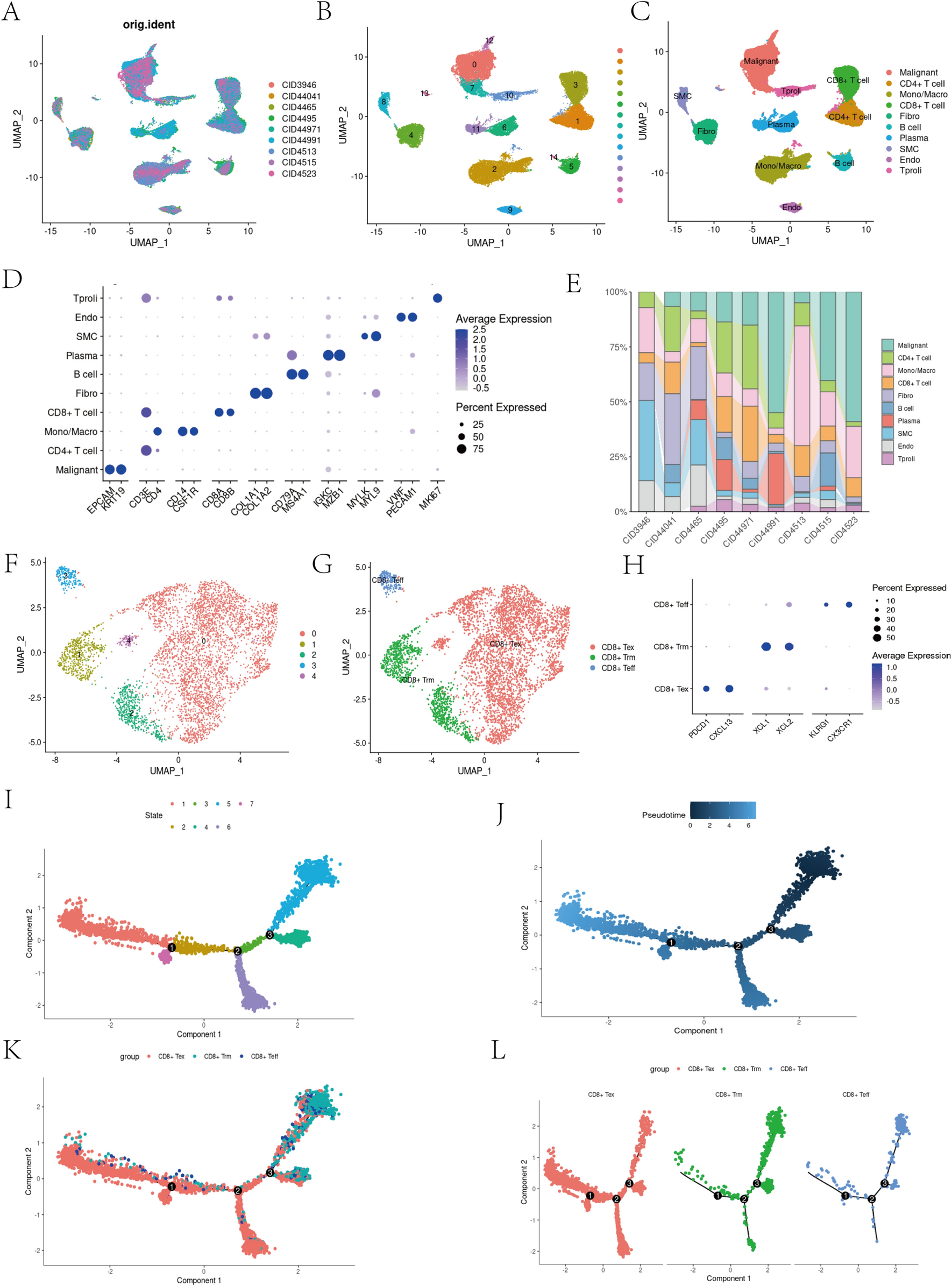 Development of a prognostic model based on four genes related to exhausted CD8+ T cell in triple-negative breast cancer patients: a comprehensive analysis integrating scRNA-seq and bulk RNA-seq