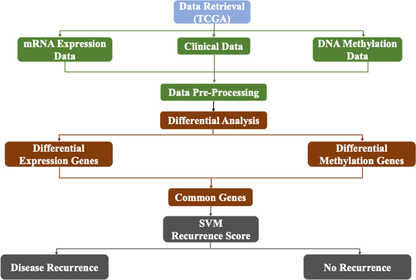Analysing DNA methylation and transcriptomic signatures to predict prostate cancer recurrence risk