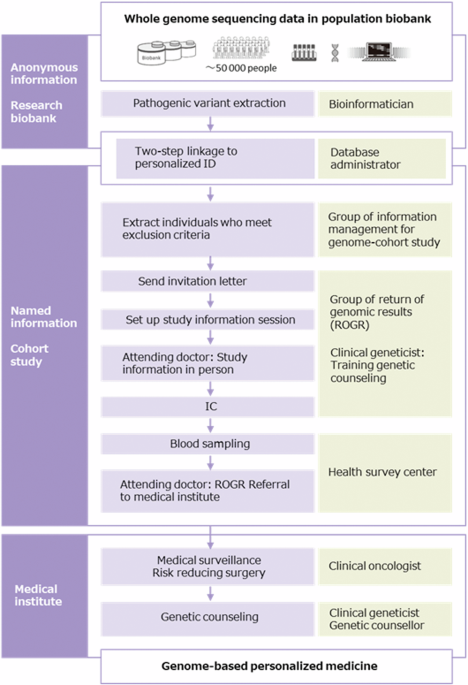 Returning genetic risk information for hereditary cancers to participants in a population-based cohort study in Japan