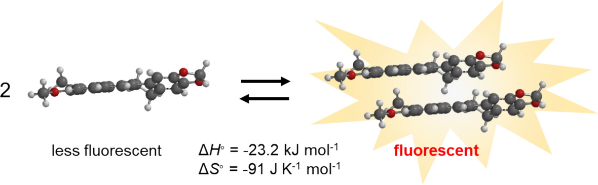 Relaxation process of photoexcited berberine via aggregation and dissociation state-dependent intramolecular electron transfer