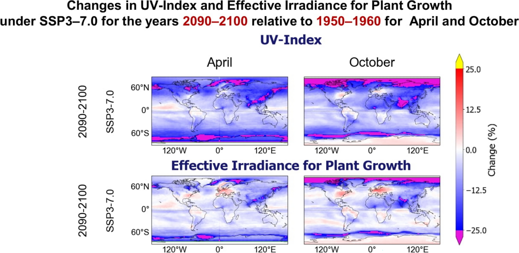 Twenty-first century surface UV radiation changes deduced from CMIP6 models. Part II: effects on UV index and plant growth weighted irradiance