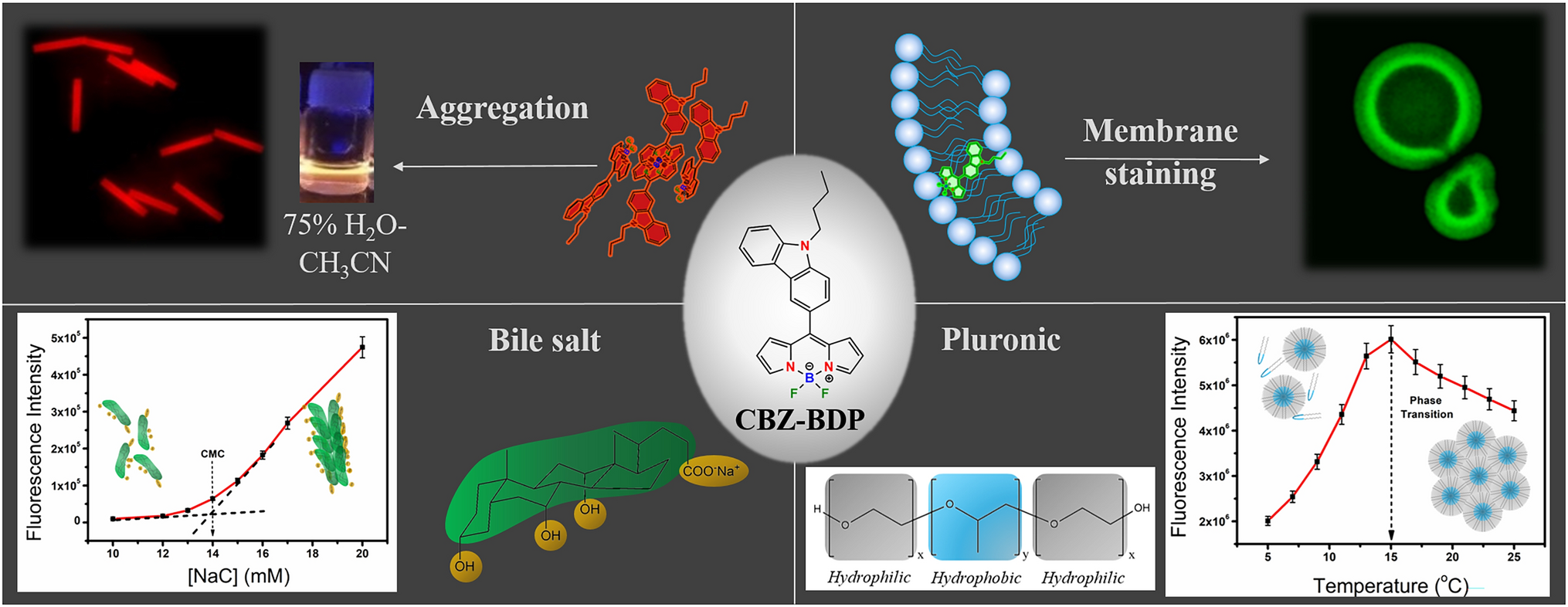 Photophysical behavior of meso-N-butylcarbazole-substituted BODIPY in different nano-scale organized media