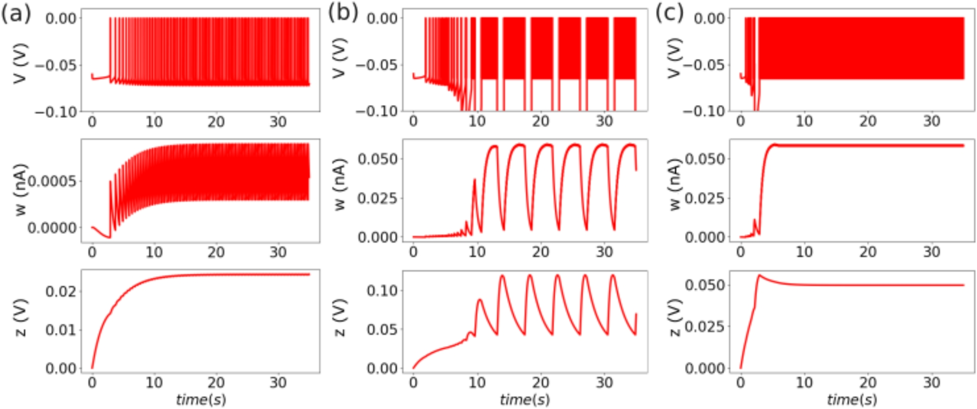Modeling impairment of ionic regulation with extended Adaptive Exponential integrate-and-fire models