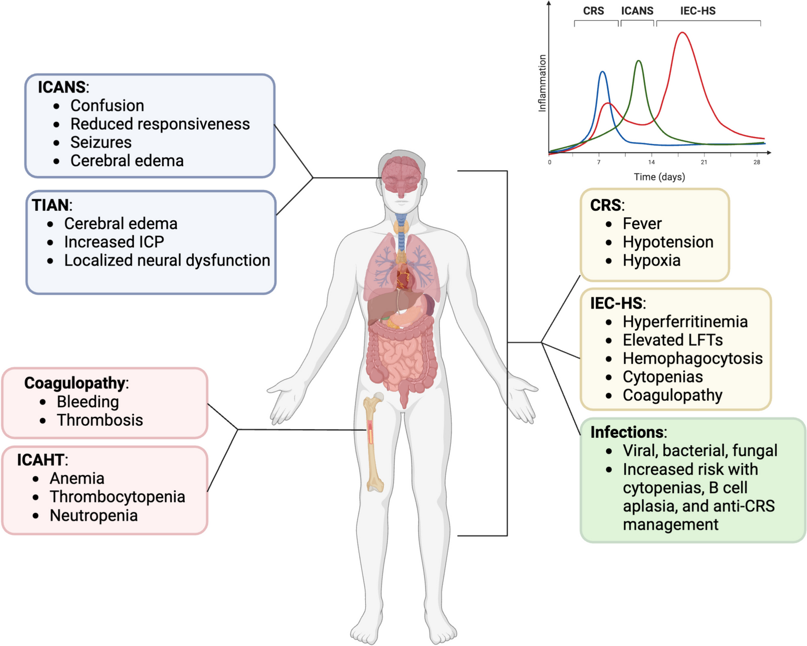 Evolving strategies for addressing CAR T-cell toxicities
