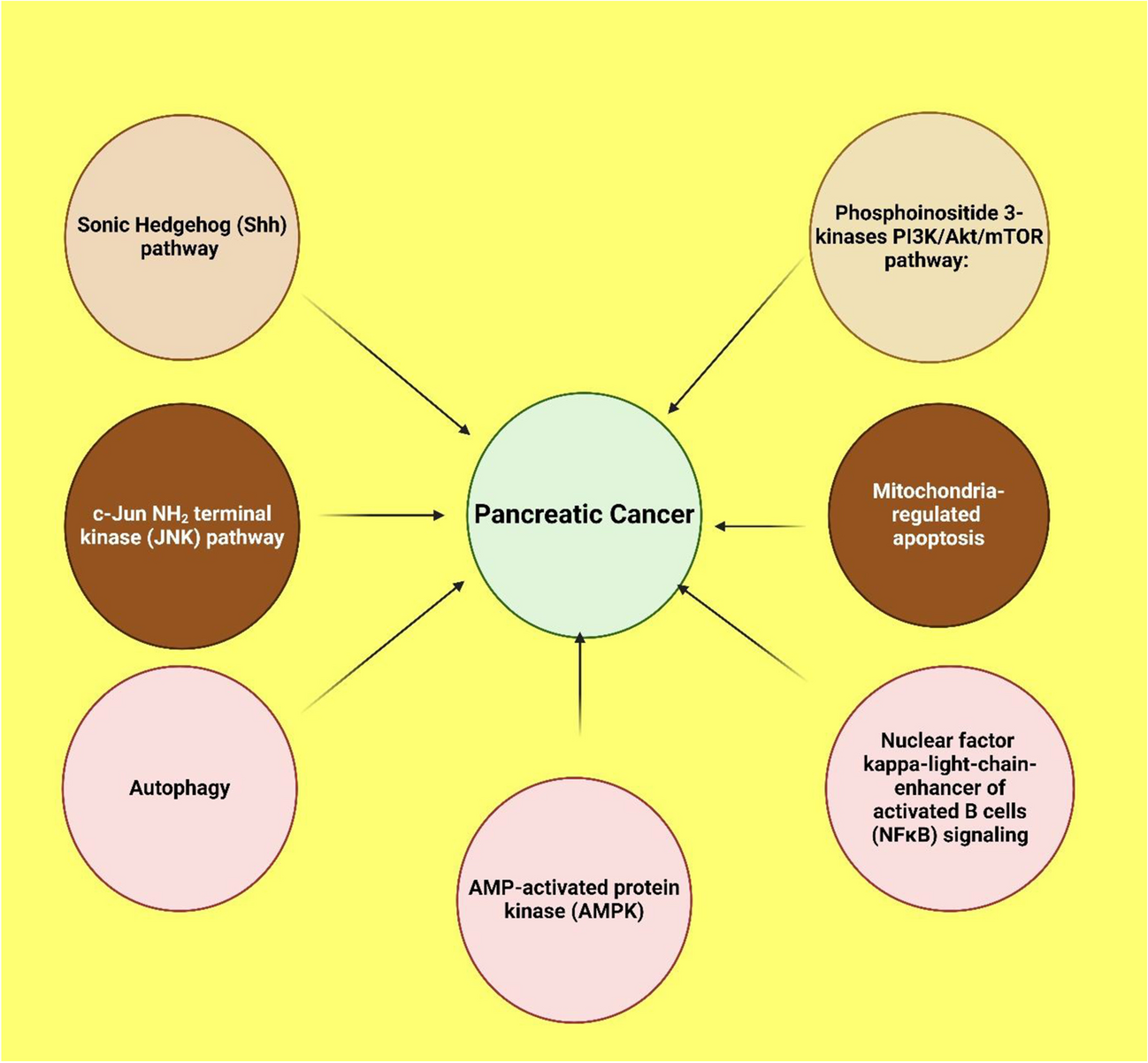 Significance of Phytoconstituents in Modulating Cell Signalling Pathways for the Treatment of Pancreatic Cancer