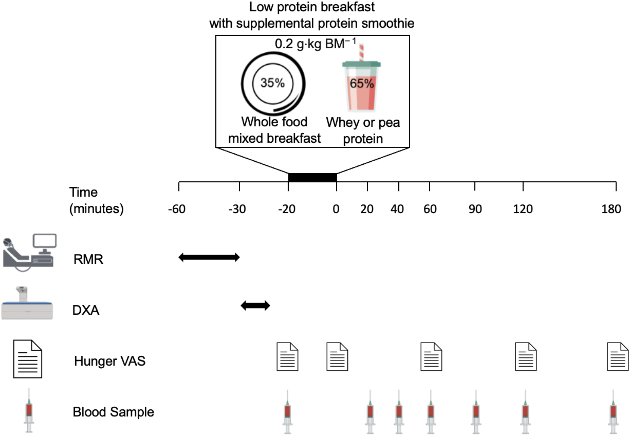 Postprandial plasma amino acid and appetite responses to a low protein breakfast supplemented with whey or pea protein in middle-to-older aged adults