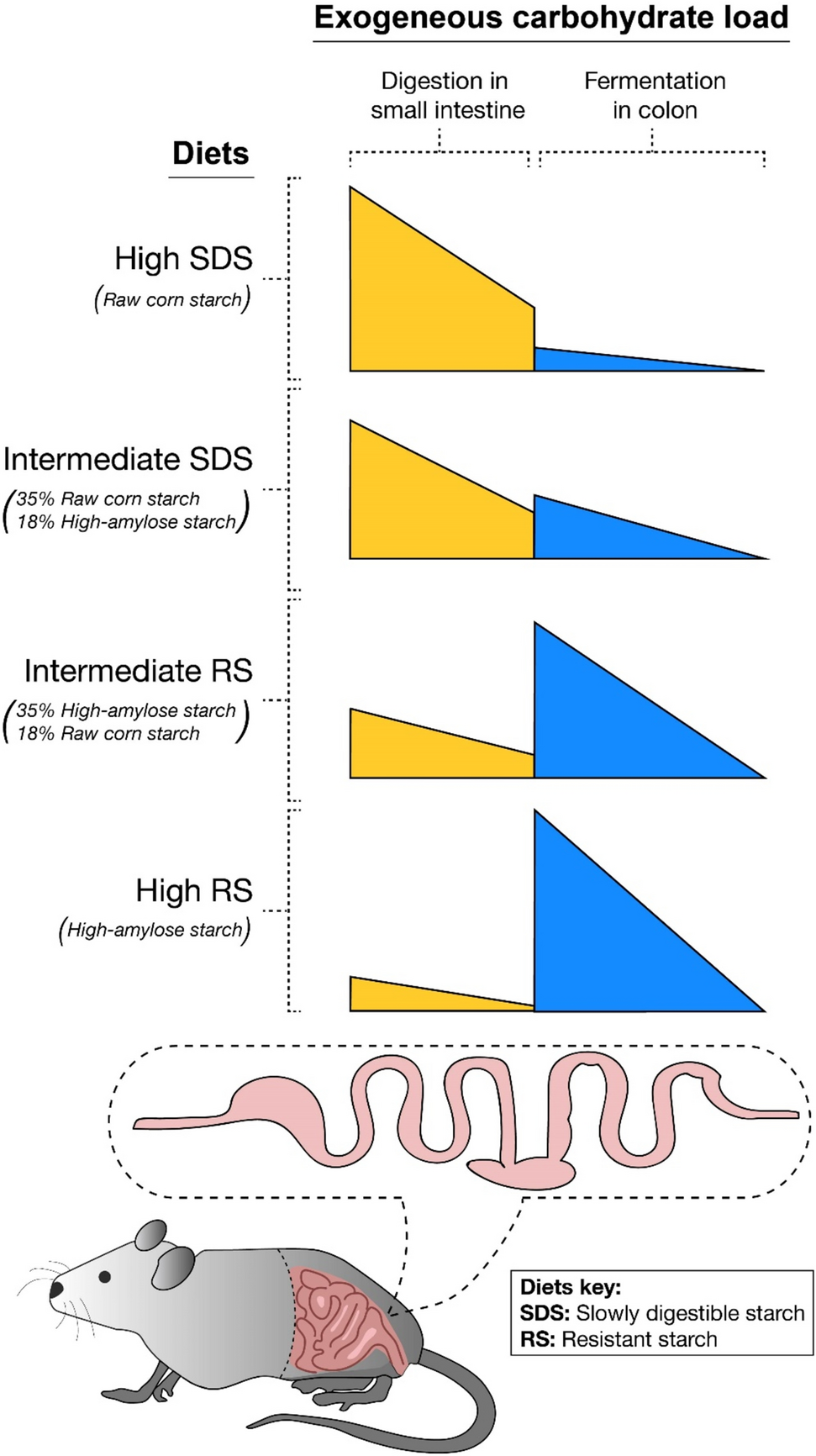 Moderating carbohydrate digestion rate in mice promotes fat oxidation and metabolic flexibility revealed through a new approach to assess metabolic substrate utilization
