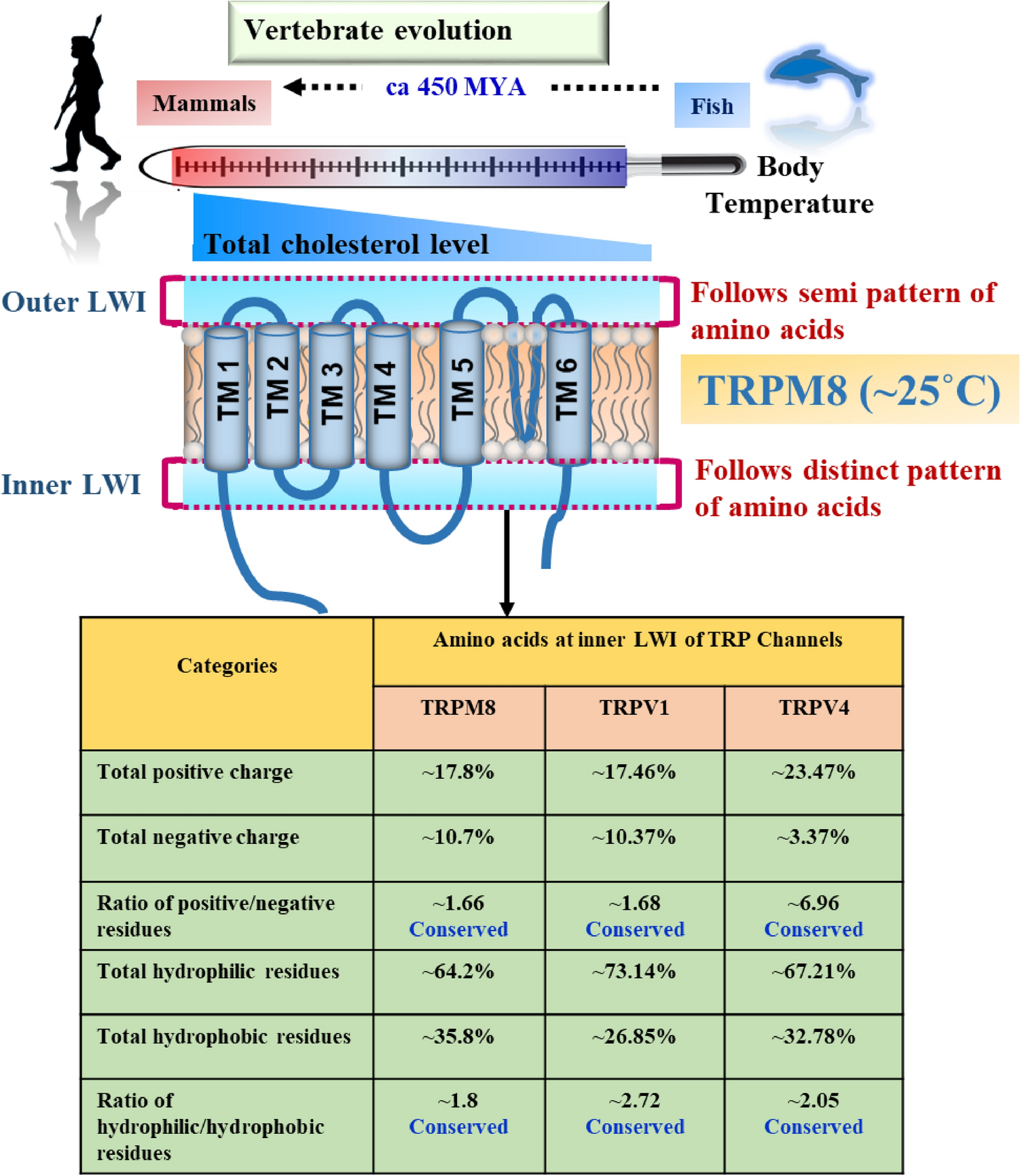 Residues of TRPM8 at the Lipid-Water-Interface have Coevolved with Cholesterol Interaction and are Relevant for Diverse Health Disorders