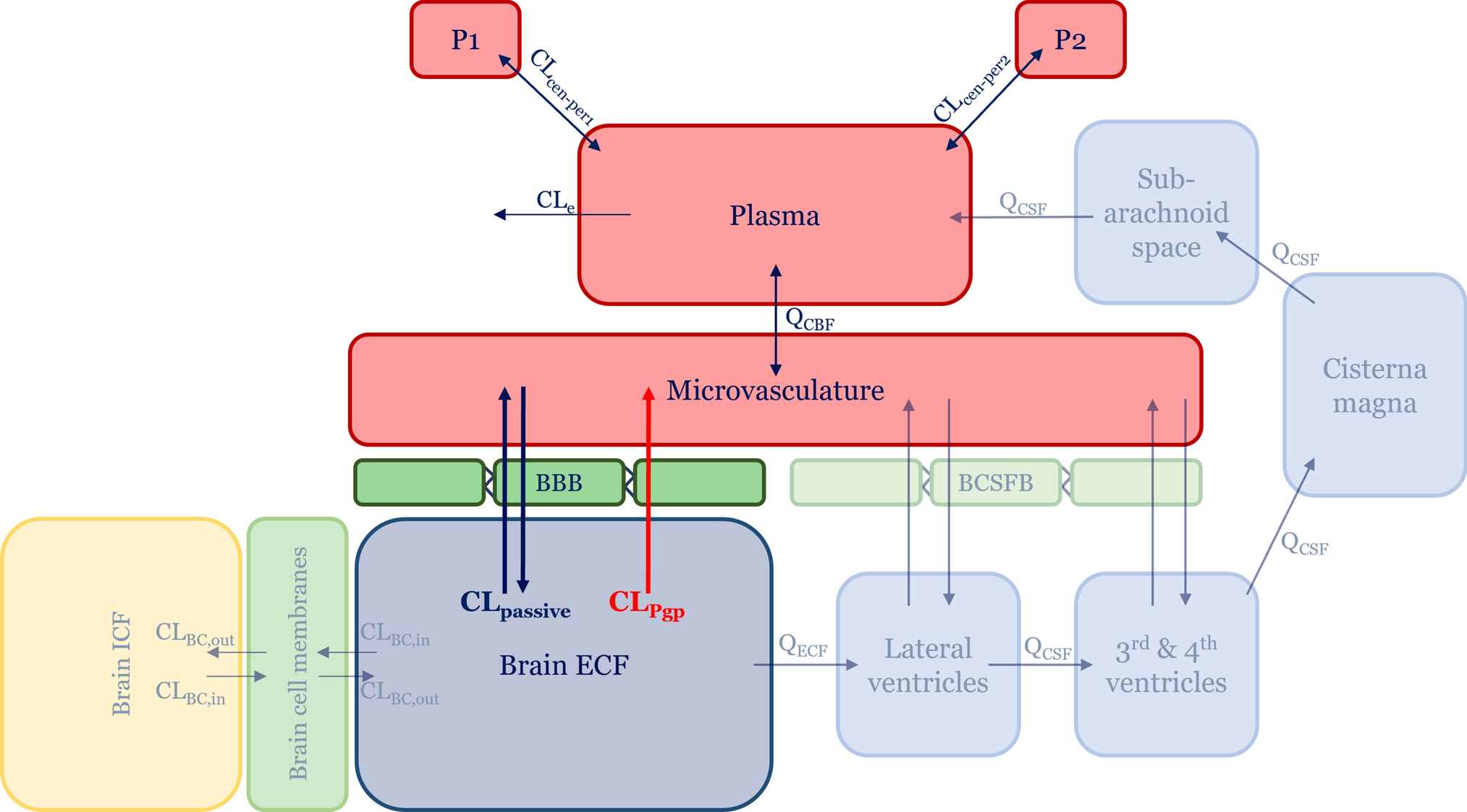 Reliability of in vitro data for the mechanistic prediction of brain extracellular fluid pharmacokinetics of P-glycoprotein substrates in vivo; are we scaling correctly?