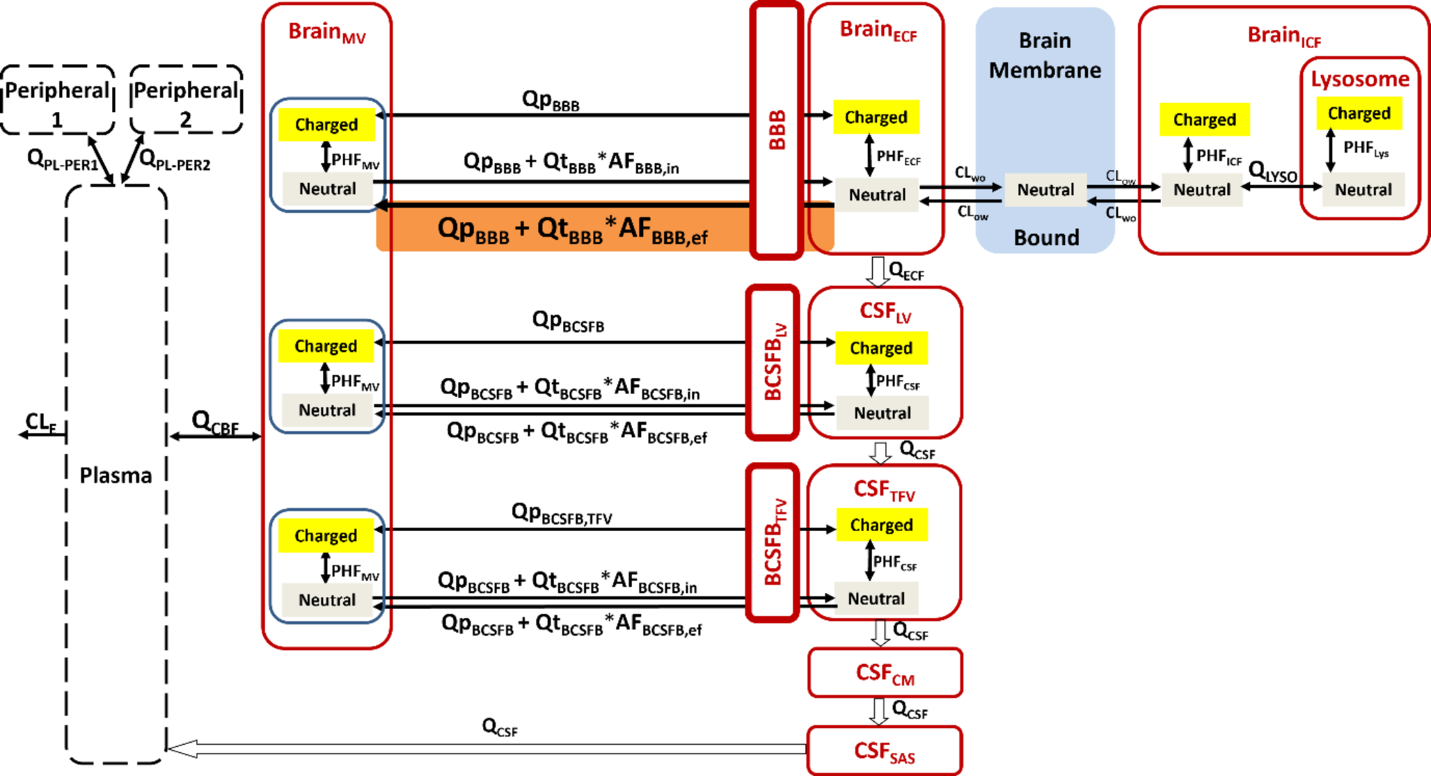 Do P-glycoprotein-mediated drug-drug interactions at the blood-brain barrier impact morphine brain distribution?