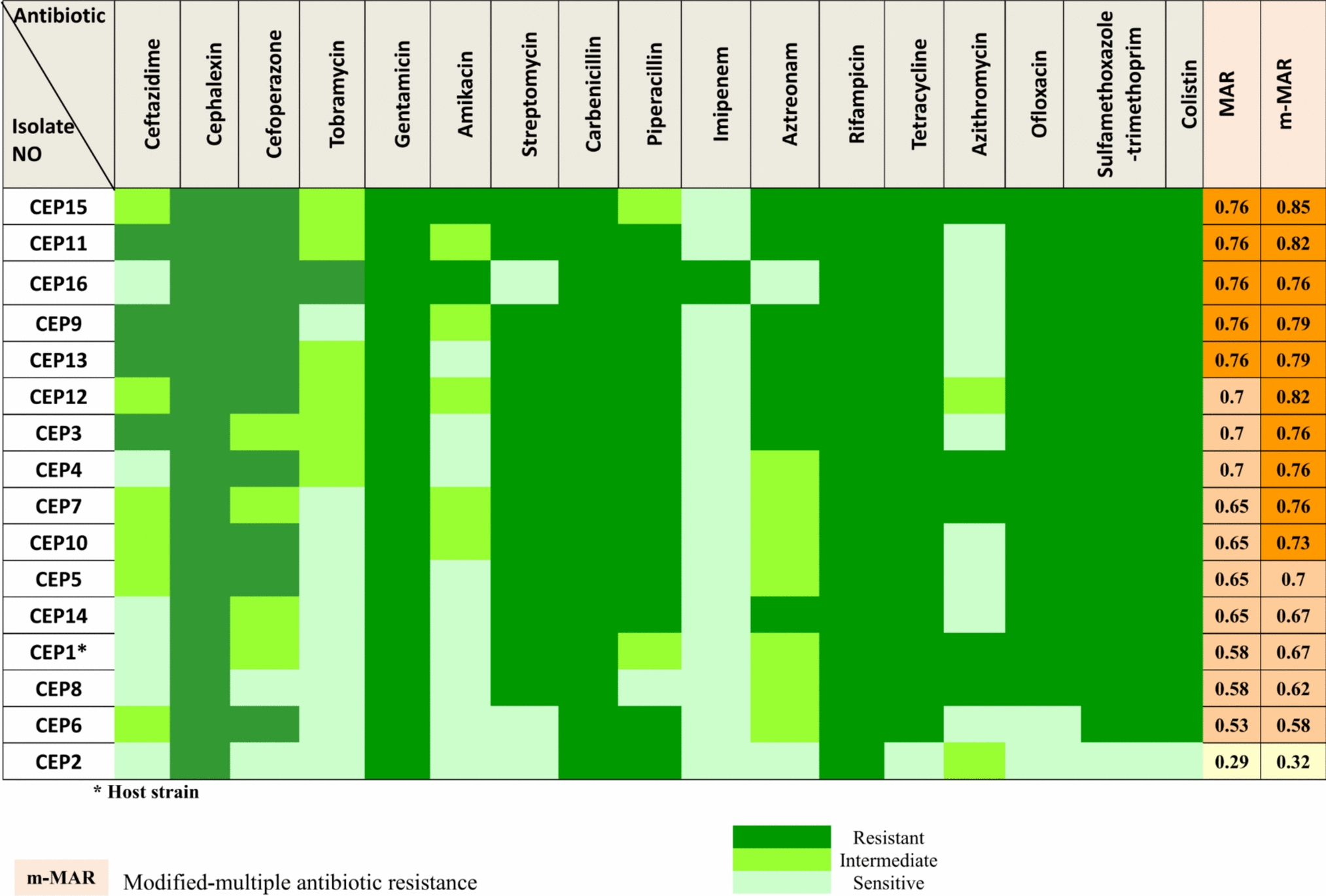 Characterization and Comparative Genomic Analysis of vB_BceM_CEP1: A Novel Temperate Bacteriophage Infecting Burkholderia cepacia Complex