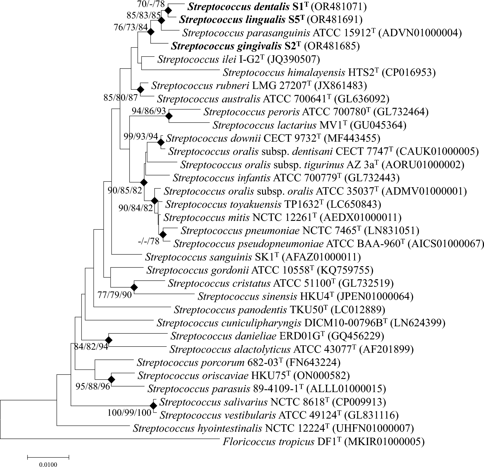 Description of Streptococcus dentalis sp. nov., Streptococcus gingivalis sp. nov., and Streptococcus lingualis sp. nov., Isolated from Human Oral Cavities