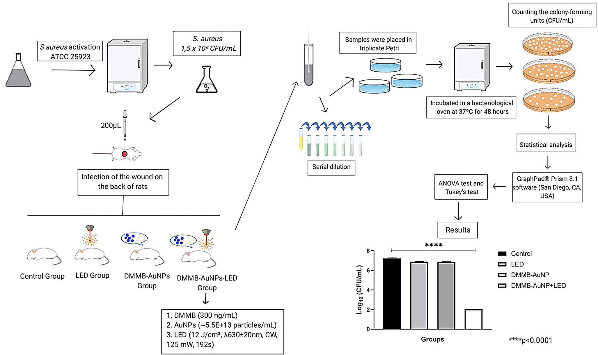 Antimicrobial photodynamic therapy using gold nanoparticles conjugated with 1,9-dimethyl-methylene blue for treating Staphylococcus skin infections