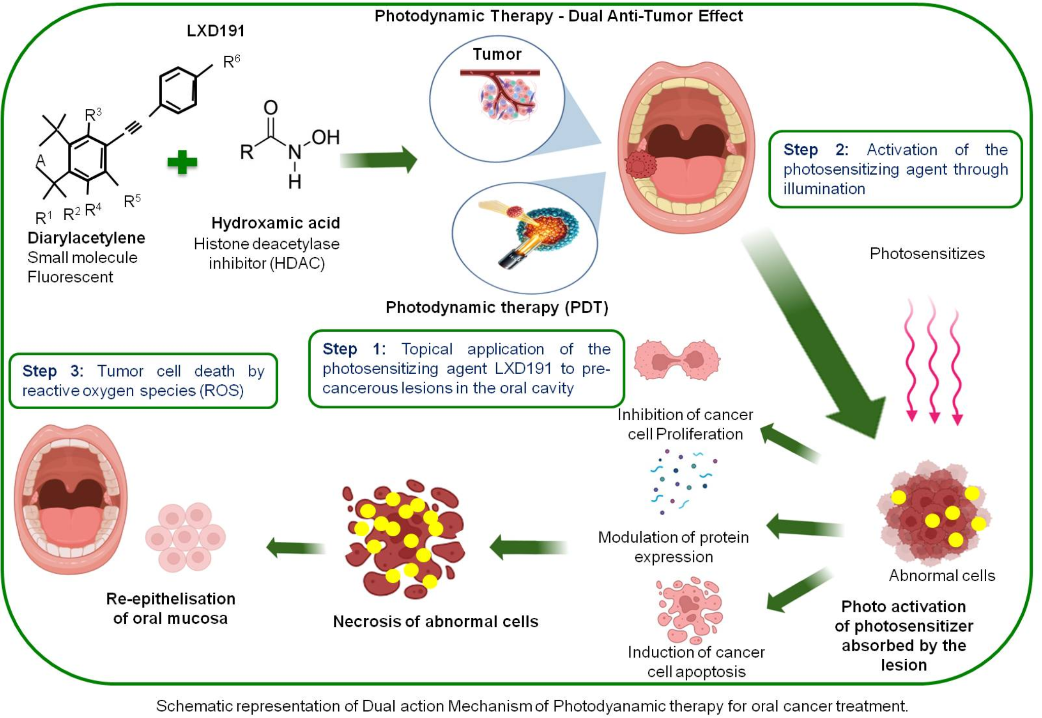 Dual-action approach to oral cancer therapy: integrating HDAC inhibition and photodynamic therapy with LXD191