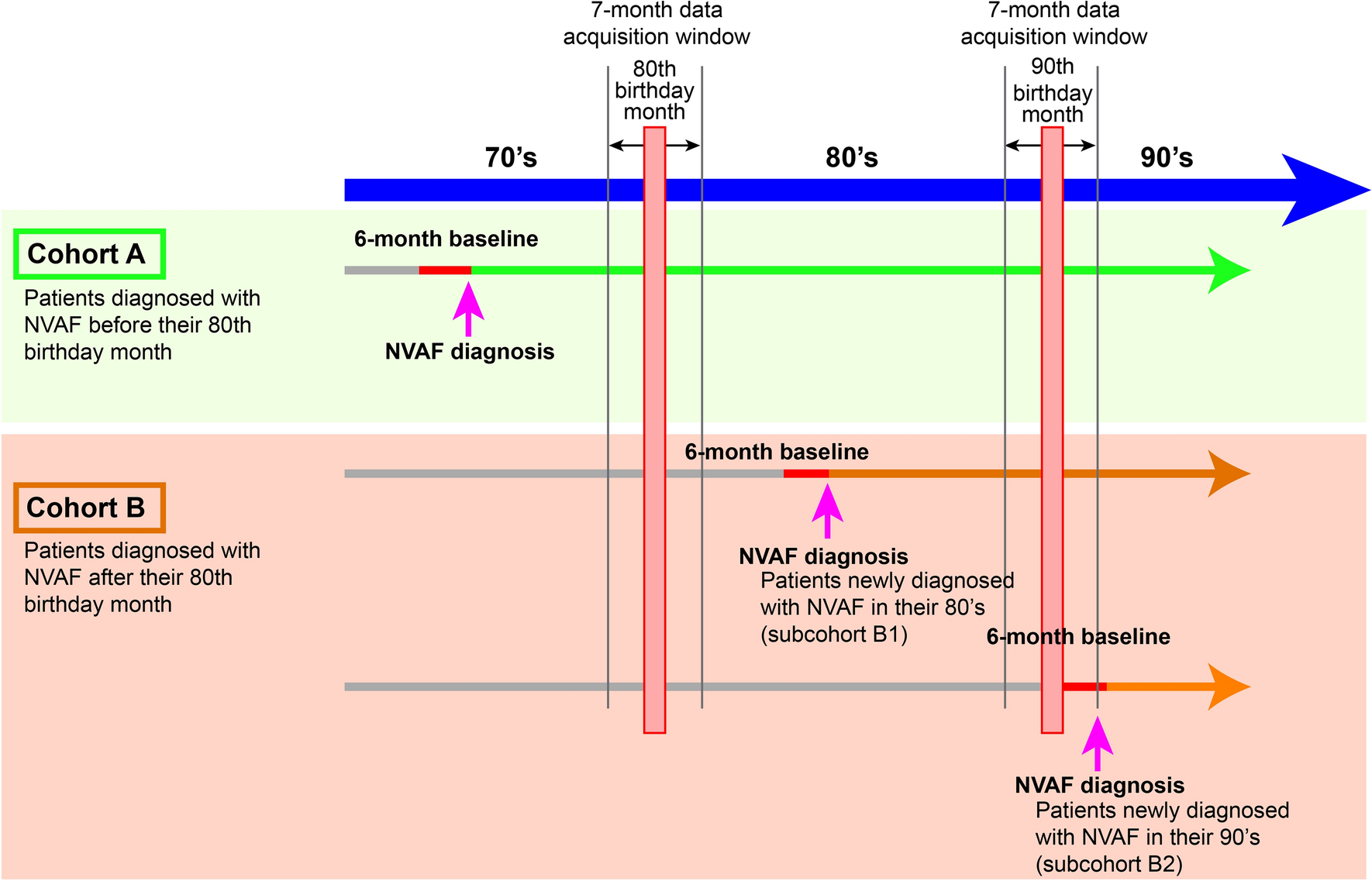 Patient Characteristics and Real-World Treatment of Very Elderly Patients with Nonvalvular Atrial Fibrillation in Japan: An Administrative Claims Database Study