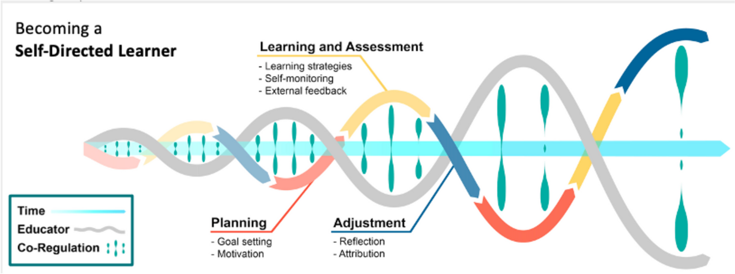 Exploring Teacher Behaviors that Support Student Self-regulated Learning in the Clinical Environment