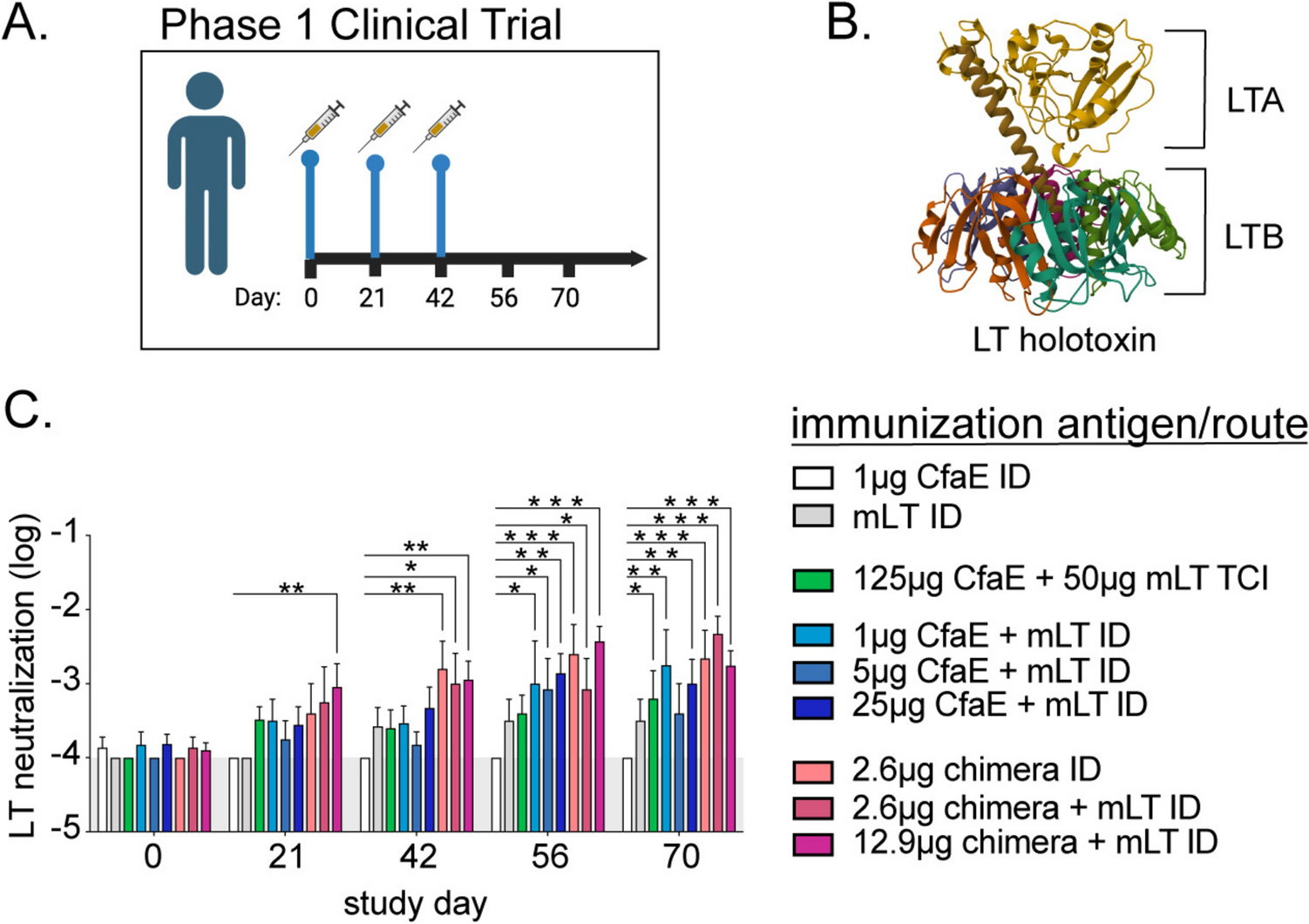 Protective antibodies against enterotoxigenic Escherichia coli are generated from heat-labile toxoid vaccination and exhibit subject- and vaccine-specific diversity