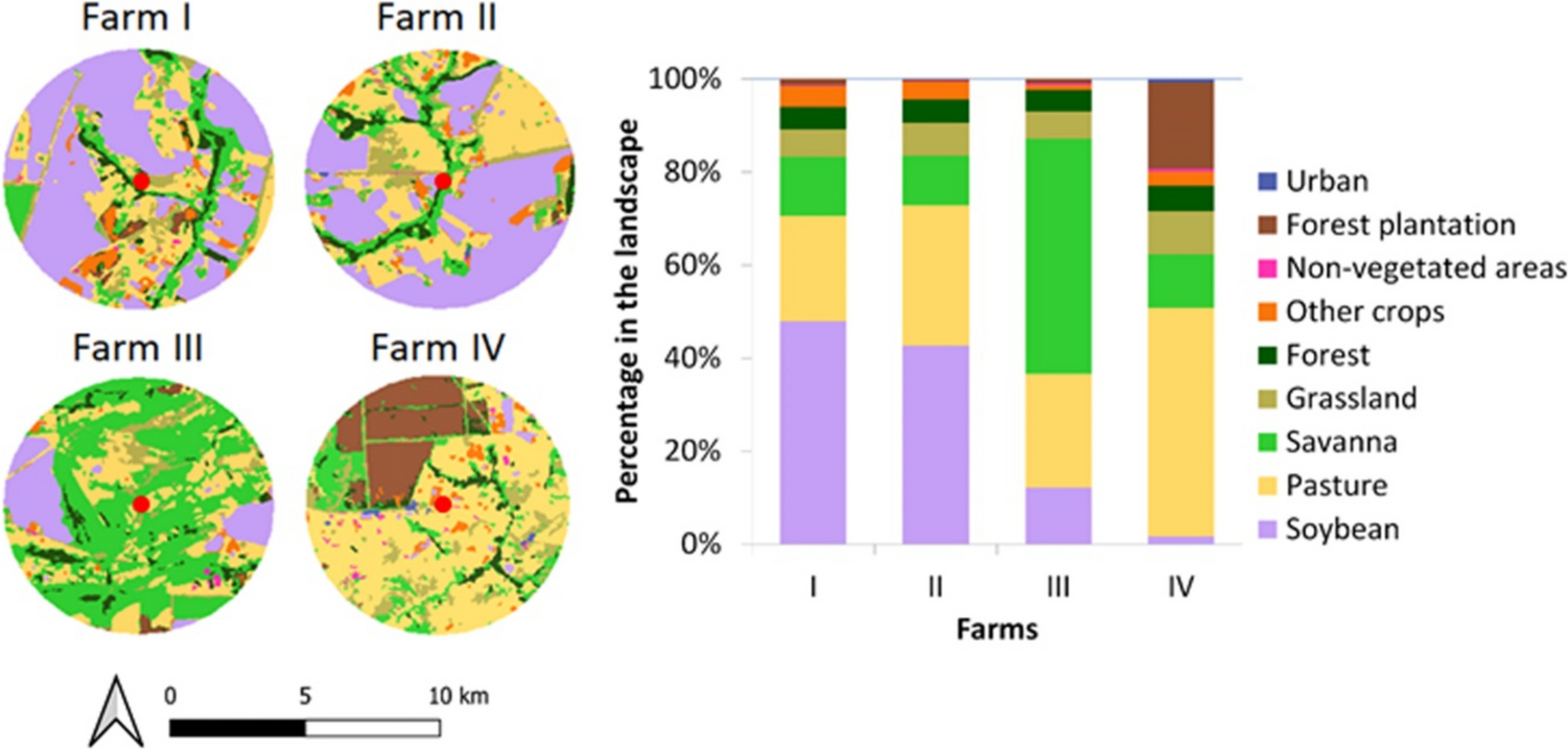 Low Abundance of Regular Pollinators and Indirect Competitive Effects of Dominant Small Bees Negatively Affect Passion Fruit Pollination in Smallholder Croplands