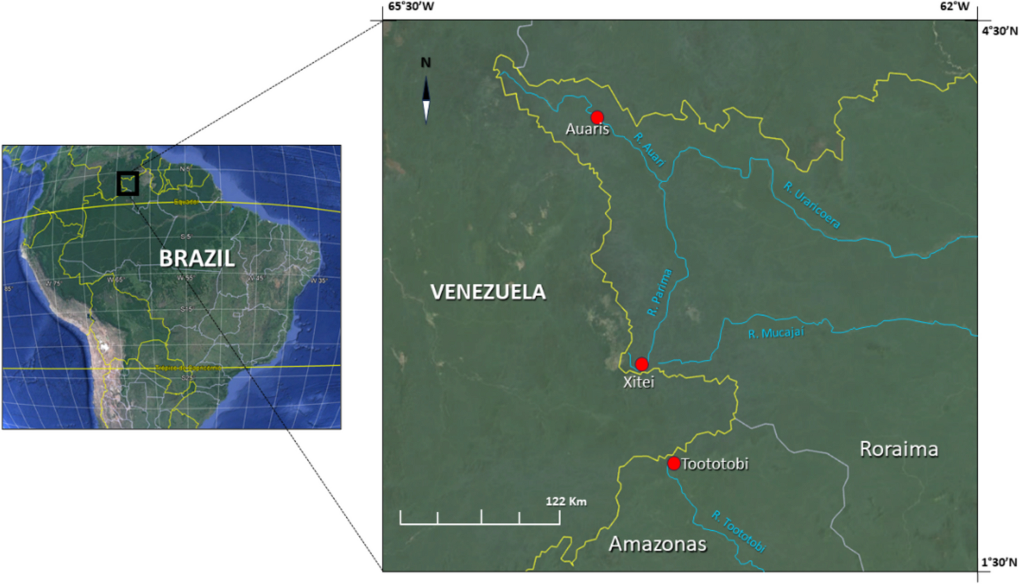 Sexual Mosaicism and Teratogenesis in Simulium guianense s.l. and S. incrustatum s.l. (Diptera: Simuliidae), Onchocerciasis vectors, from Environmentally Impacted Areas in the Yanomami Indigenous Land, Brazil