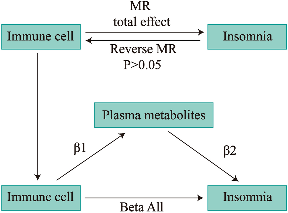 Genetically Predicted Leucine Level Mediates Association Between CD4/CD8br T Lymphocytes and Insomnia