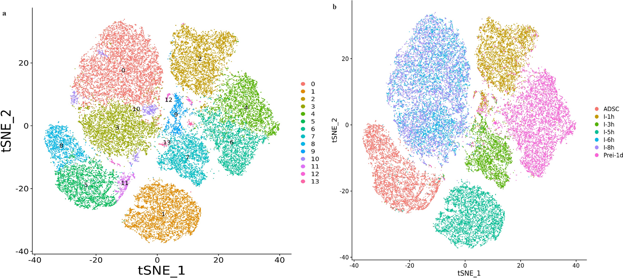 Single-Cell RNA-Seq Reveals the Pseudo-temporal Dynamic Evolution Characteristics of ADSCs to Neuronal Differentiation