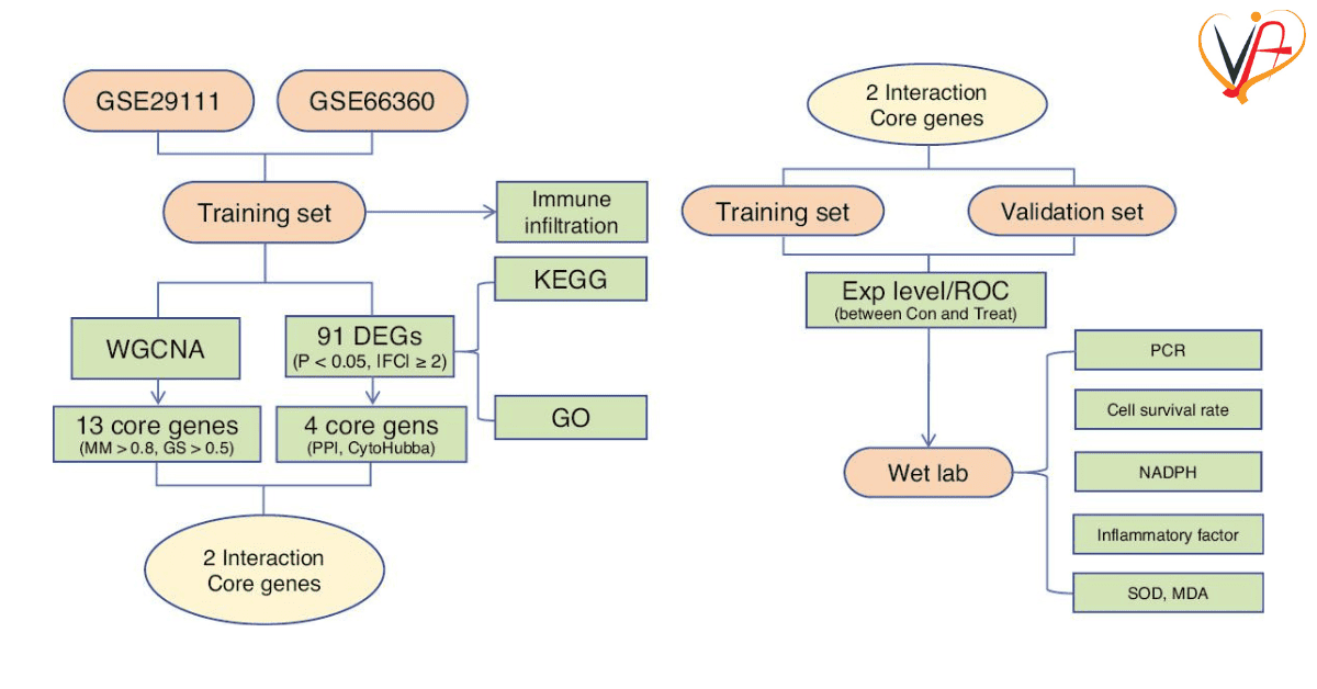 Comprehensive Bioinformatics Method to Explore Immune-Related Genes in the Pathogenesis of Myocardial Infarction