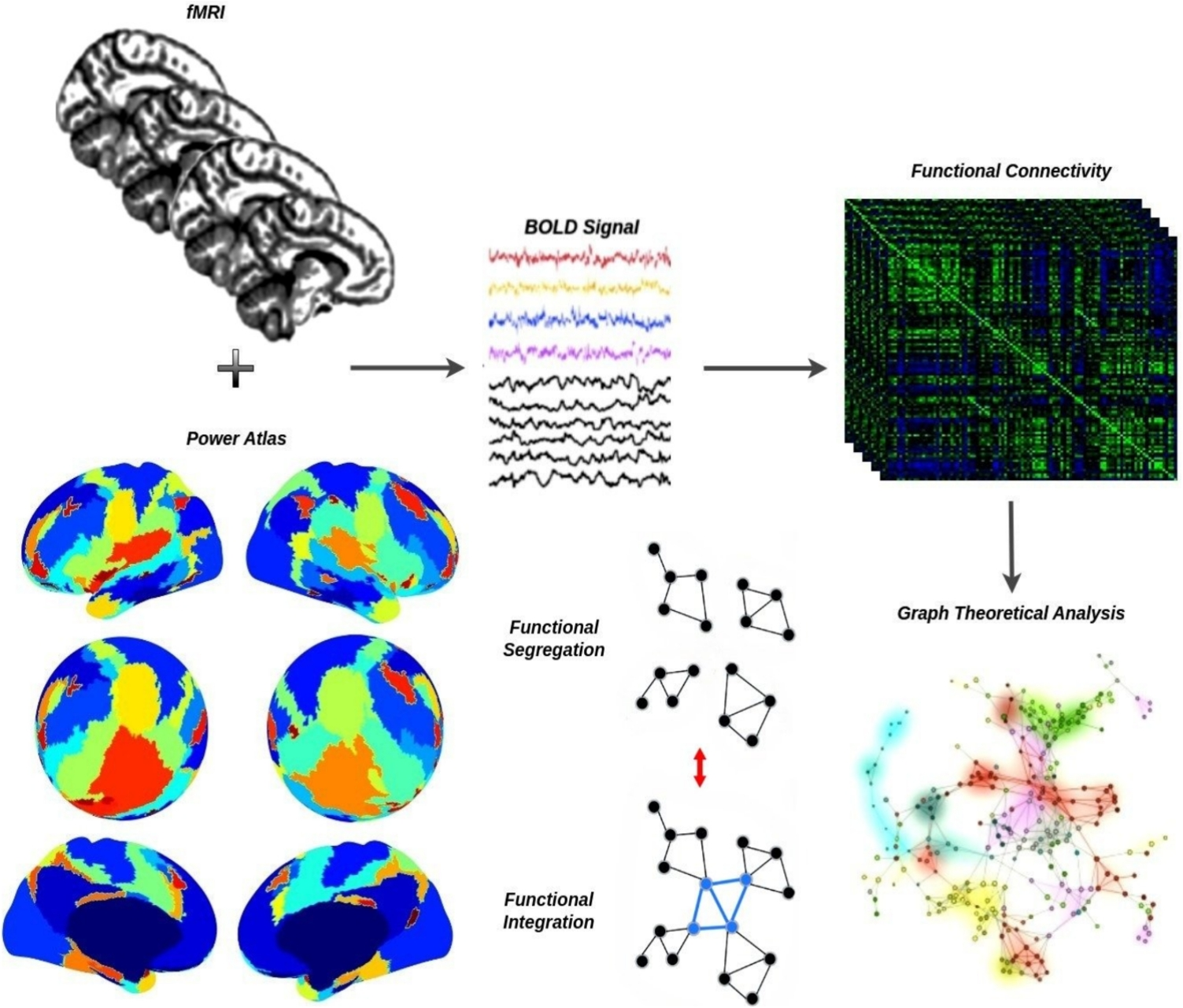 Unraveling Integration-Segregation Imbalances in Schizophrenia Through Topological High-Order Functional Connectivity