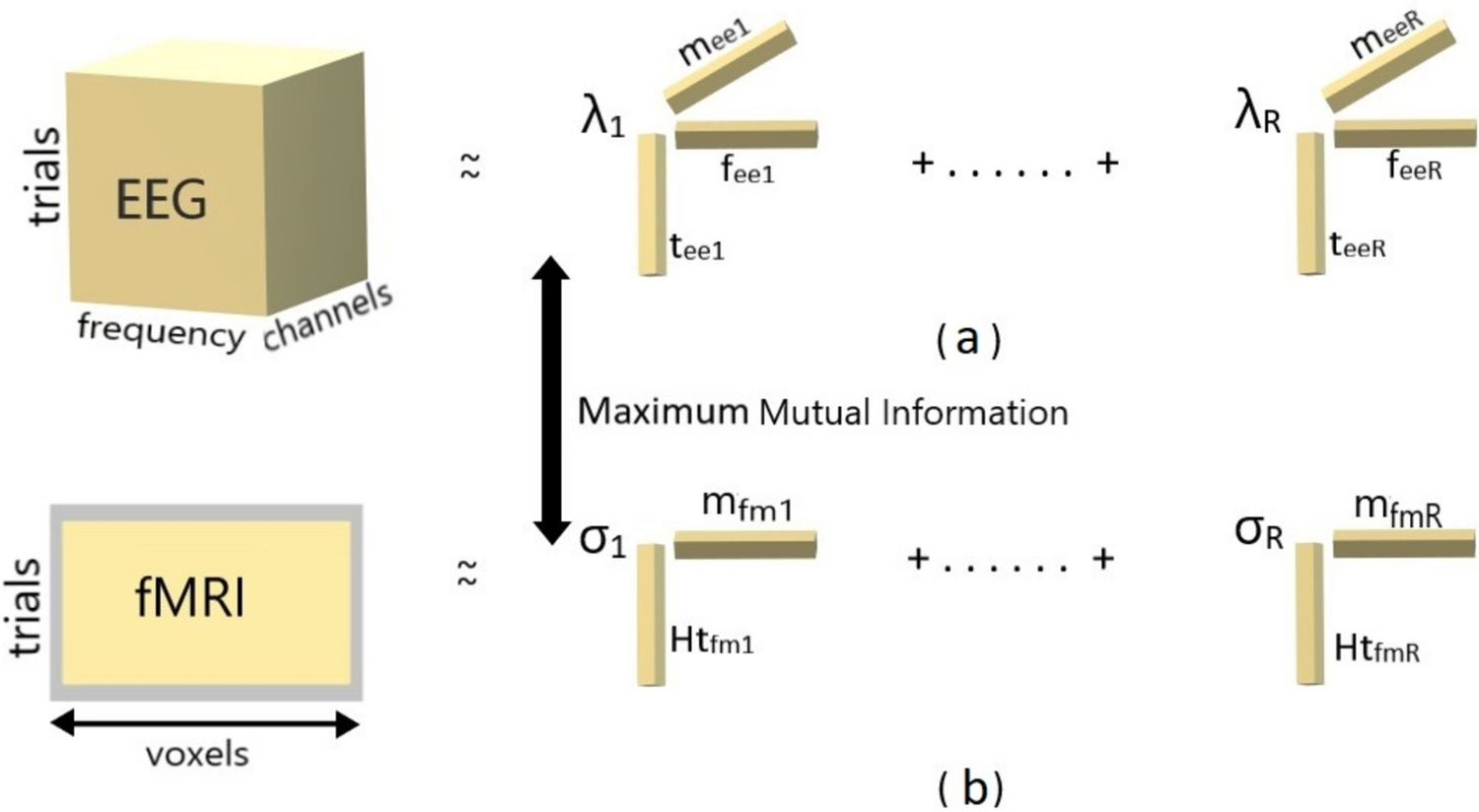 Generalized Coupled Matrix Tensor Factorization Method Based on Normalized Mutual Information for Simultaneous EEG-fMRI Data Analysis