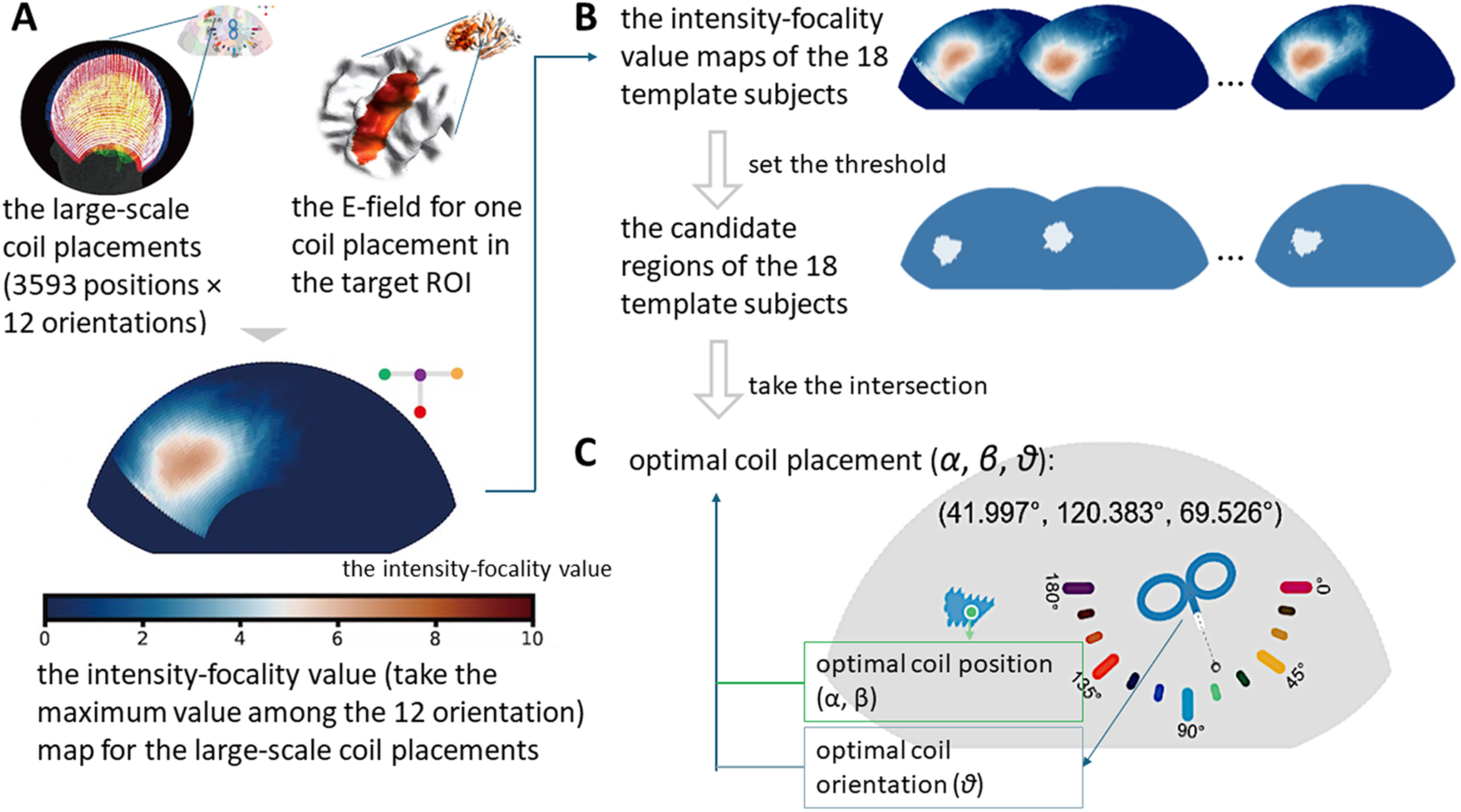 Stimulation Effects Mapping for Optimizing Coil Placement for Transcranial Magnetic Stimulation
