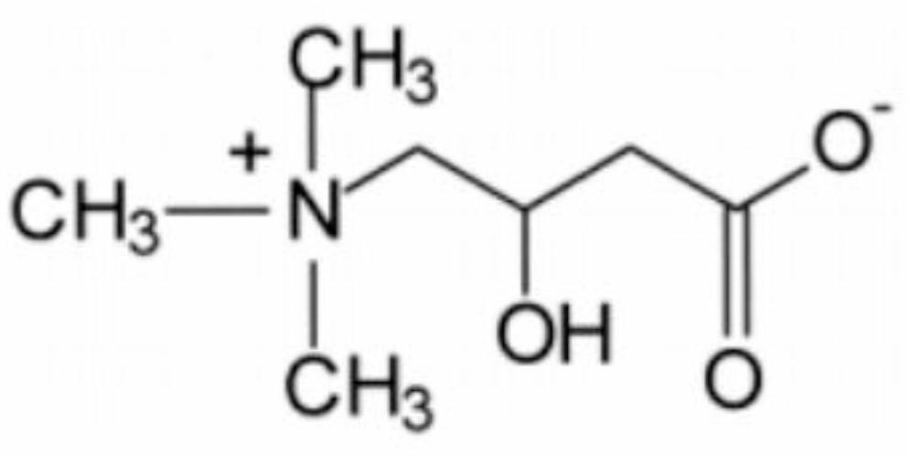 Neuroprotective effects of L-carnitine towards oxidative stress and inflammatory processes: a review of its importance as a therapeutic drug in some disorders