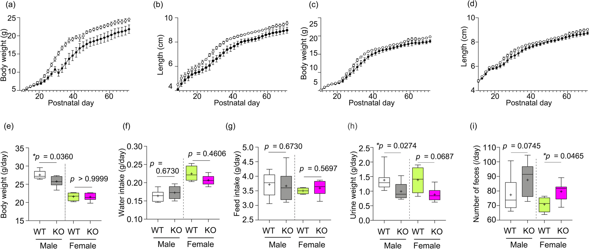 ST3 beta-galactoside alpha-2,3-sialyltransferase 4 (St3gal4) deficiency reveals correlations among alkaline phosphatase activity, metabolic parameters, and fear-related behavior in mice