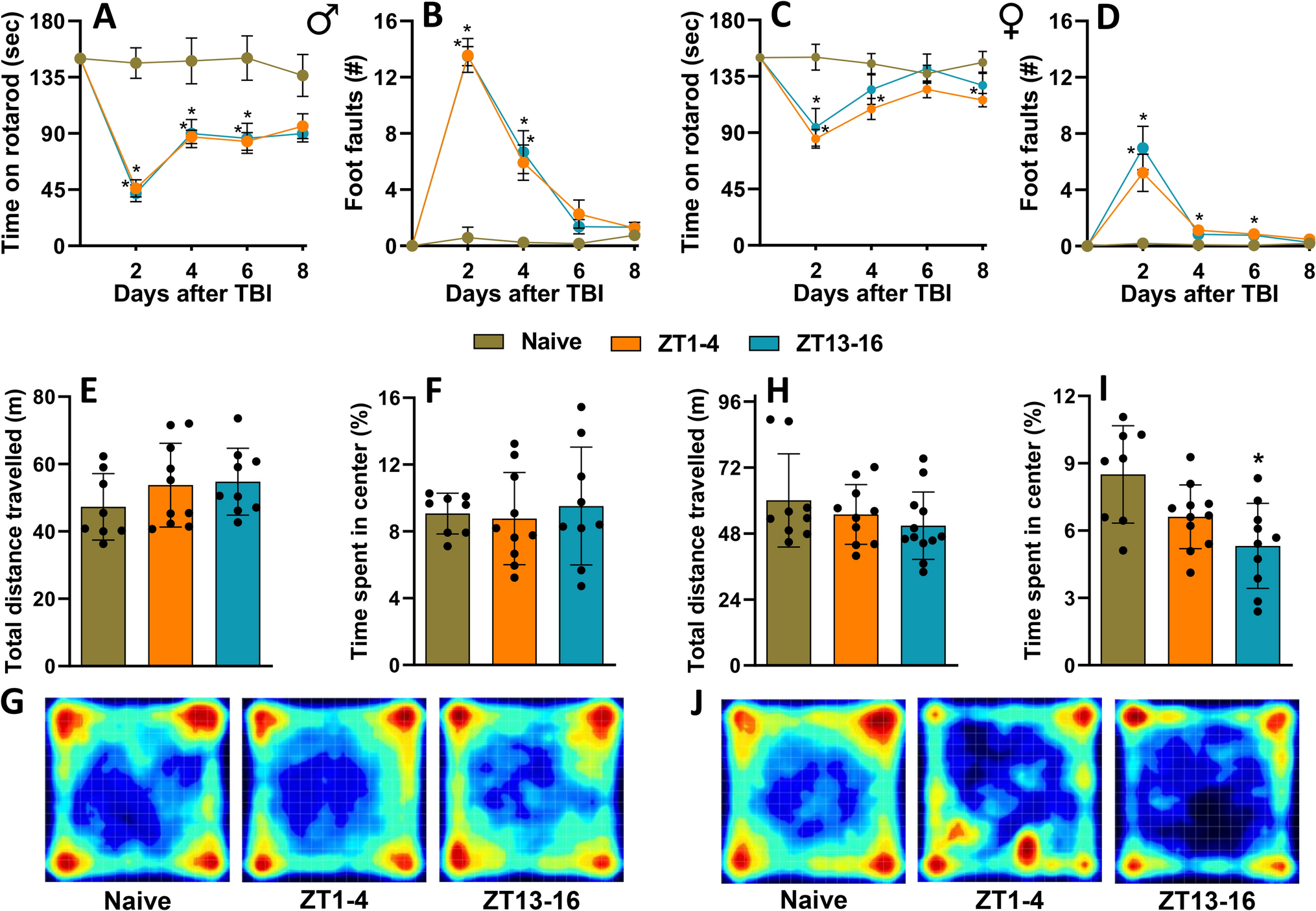 Time of the Day of Traumatic Brain Injury has Minimal Effects on Behavioral and Histological Outcomes in Mice of Both Sexes