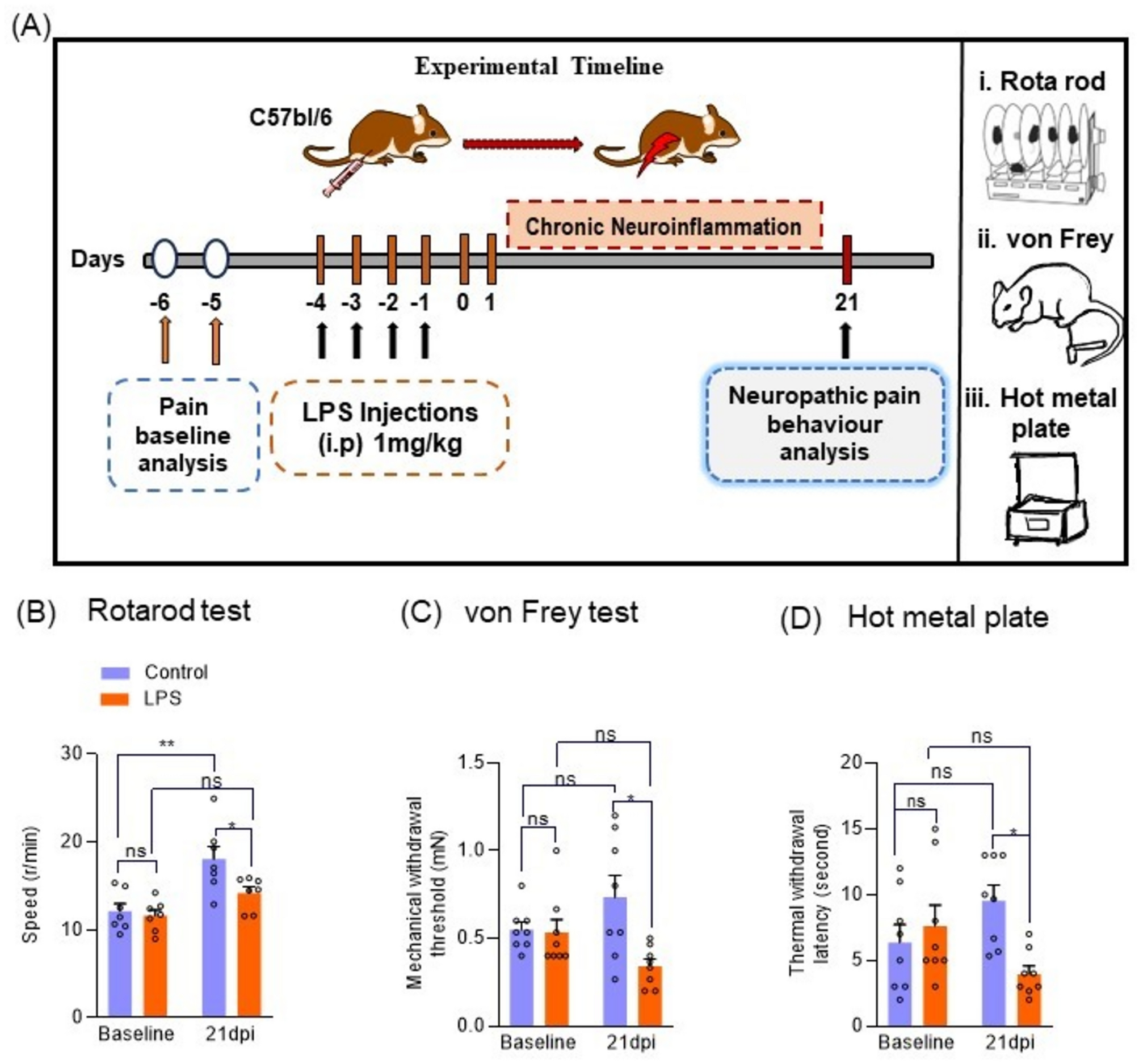 Microparticles Mediate Lipopolysaccharide-induced Inflammation and Chronic Pain in Mouse Model